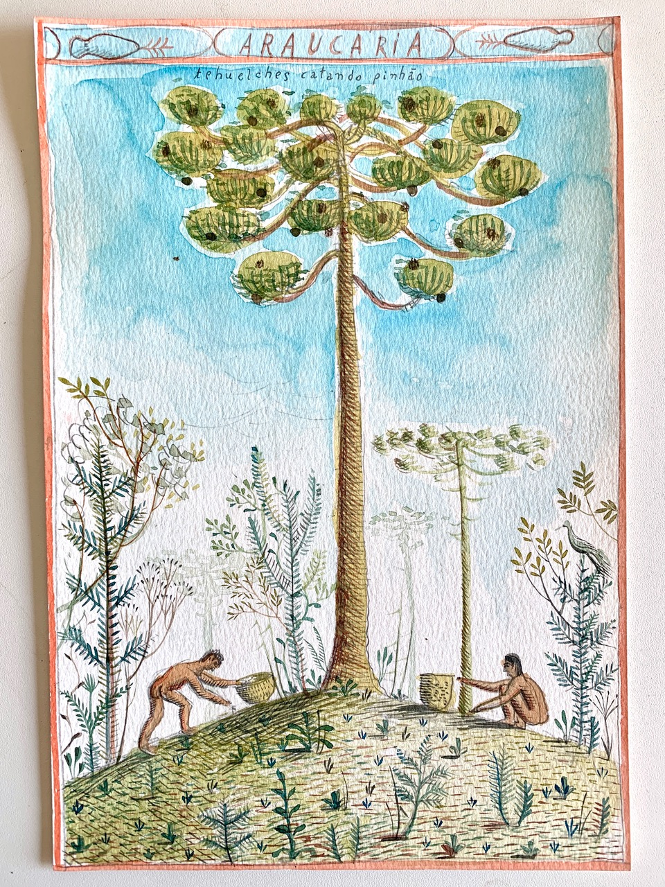 Obra Araucária de Alex Cerveny