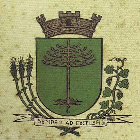 Brasão de Curitiba desenhado e proposto por Romário Martins em 1905.
