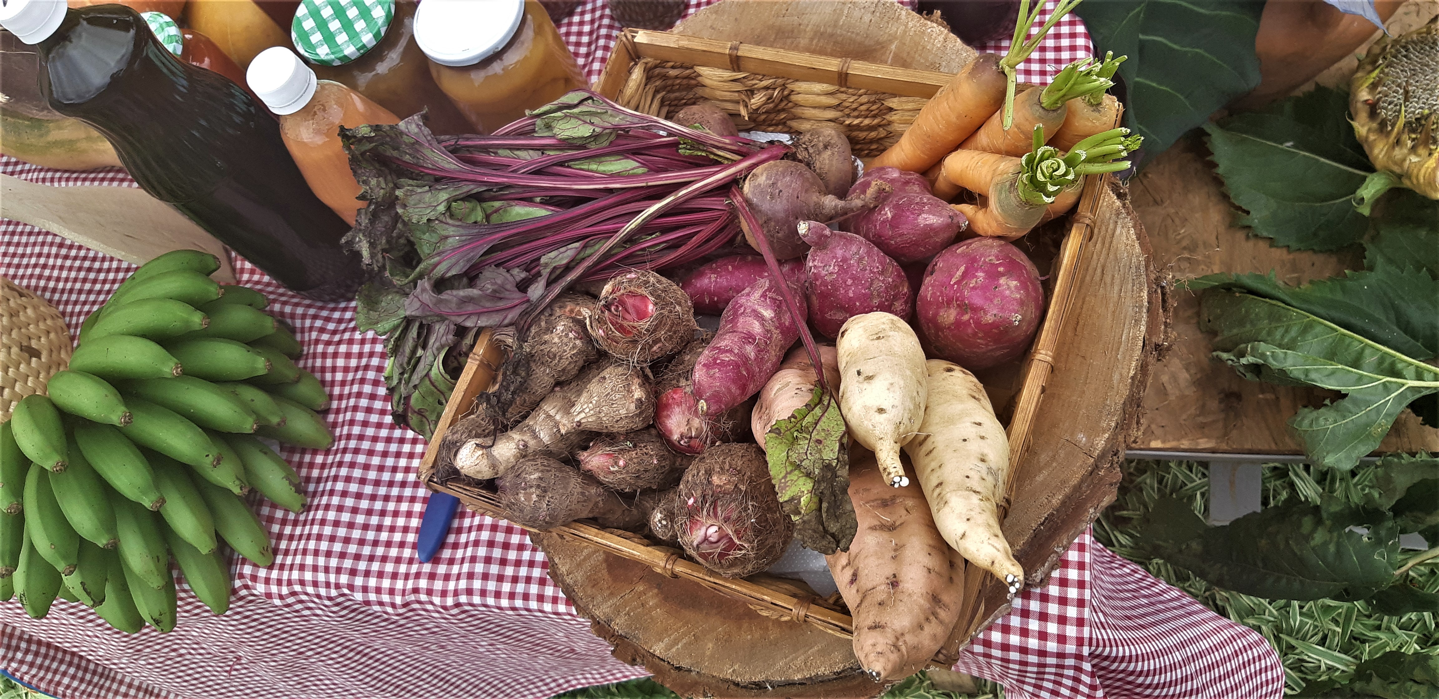 Feira de Sementes Quilombolas