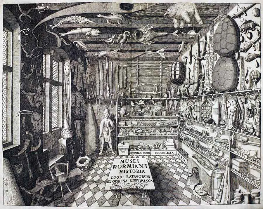 Frontispício do livro "Musei Wormiani Historia" mostrando o quarto das maravilhas de Worm.