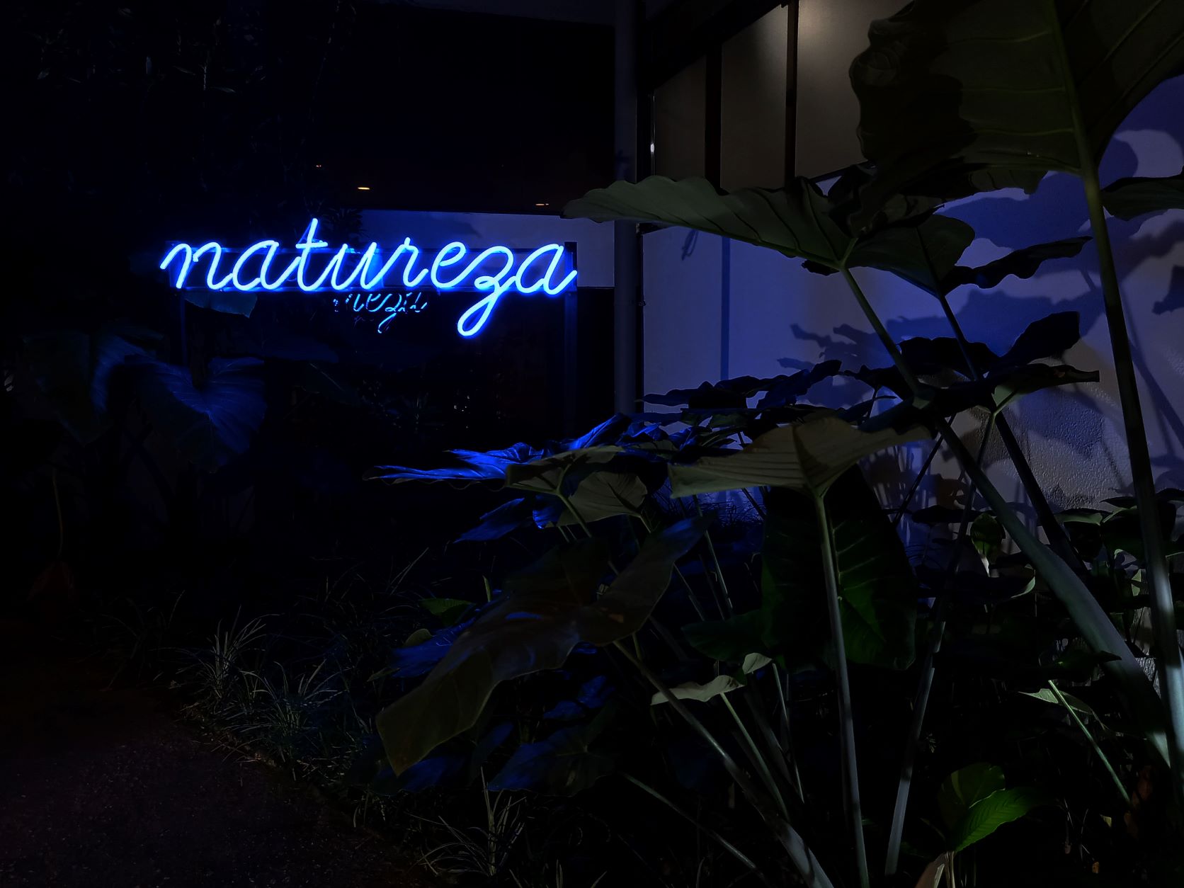 Detalha exposição Segunda Natureza, no MUPA.