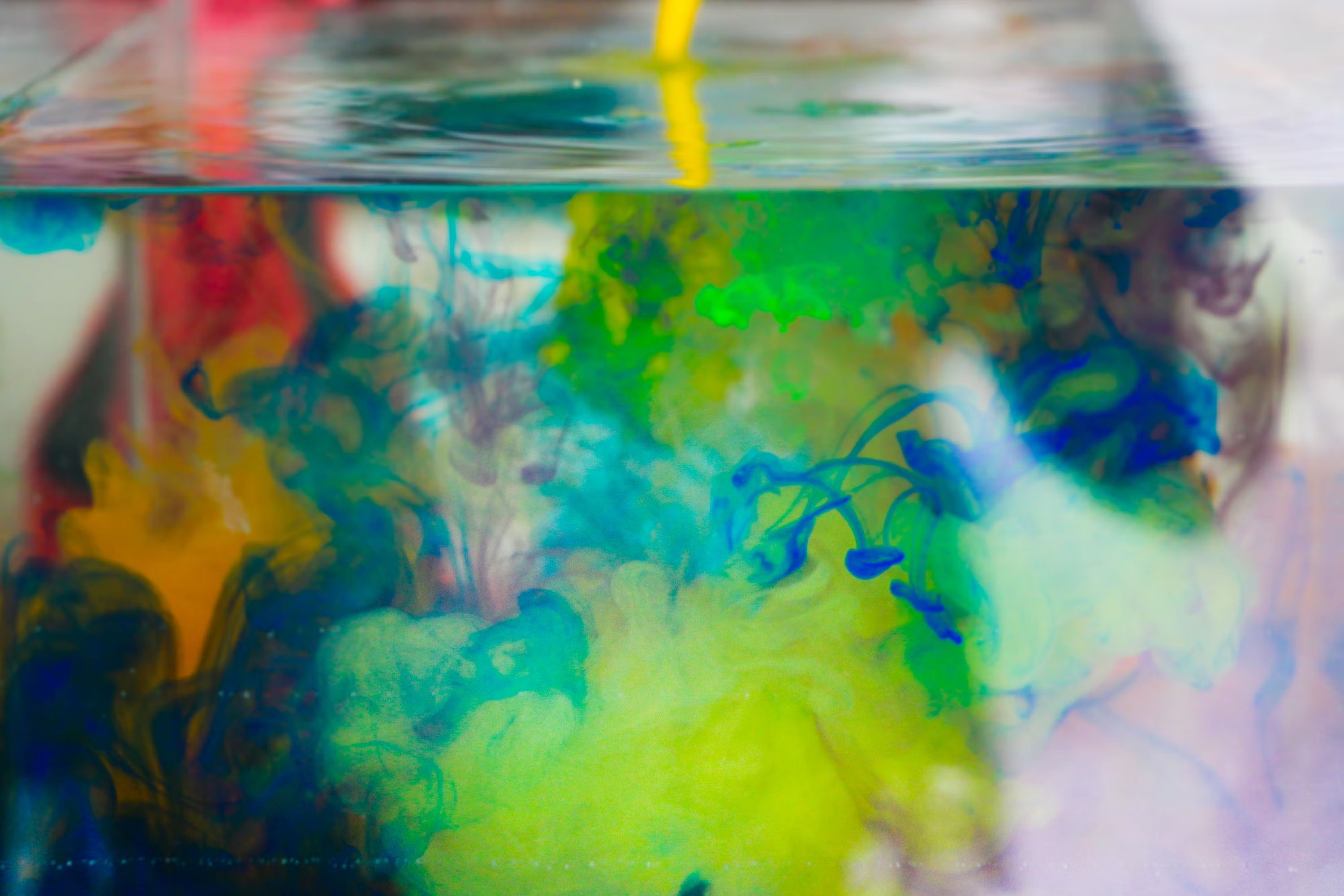 Todas as atividades são gratuitas.