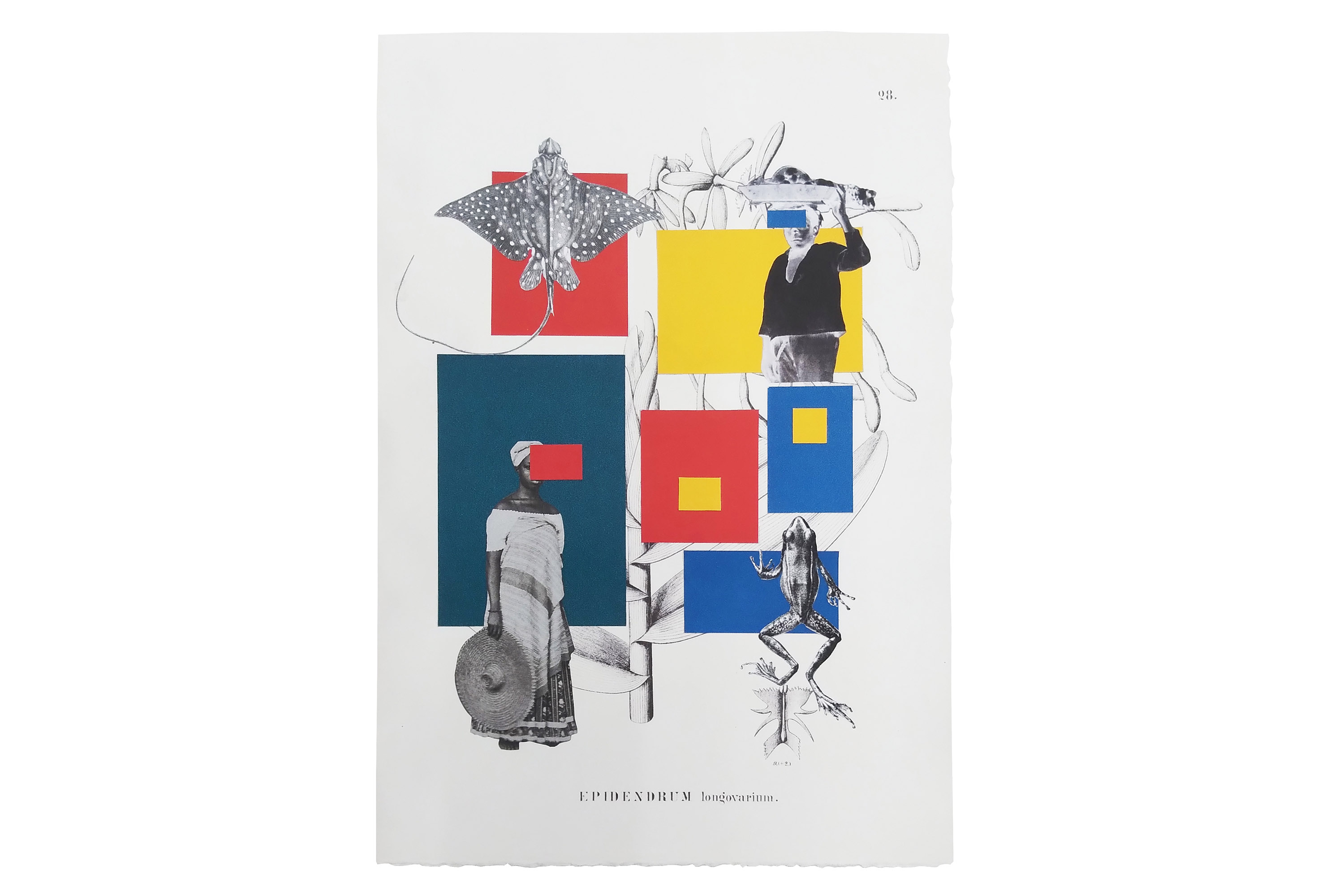 A Geometria à brasileira chega ao paraíso tropical (2018), Rosana Paulino -