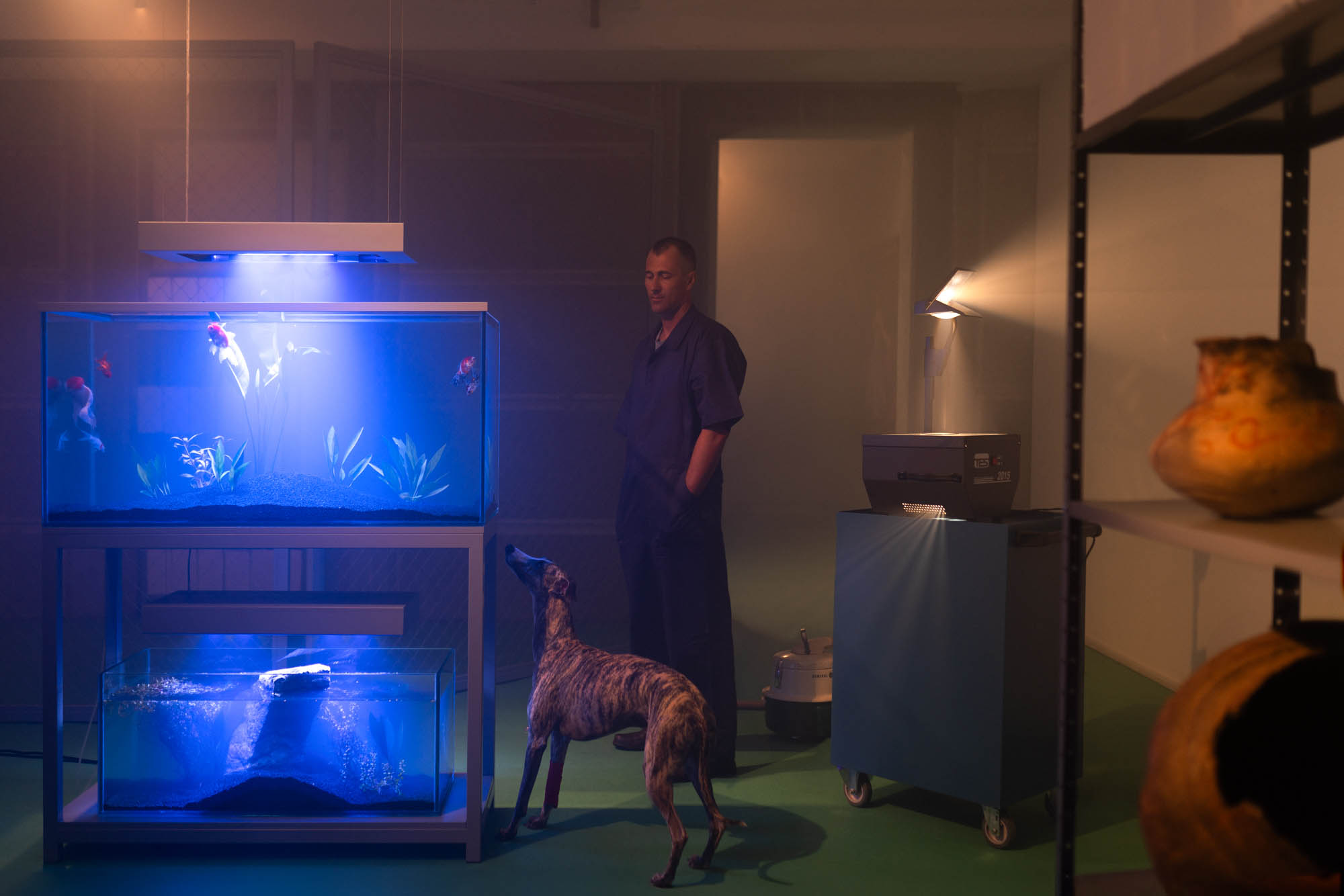 Museu Paranaense abre neste sábado inscrições para nova Ocupação do Espaço Vitrine