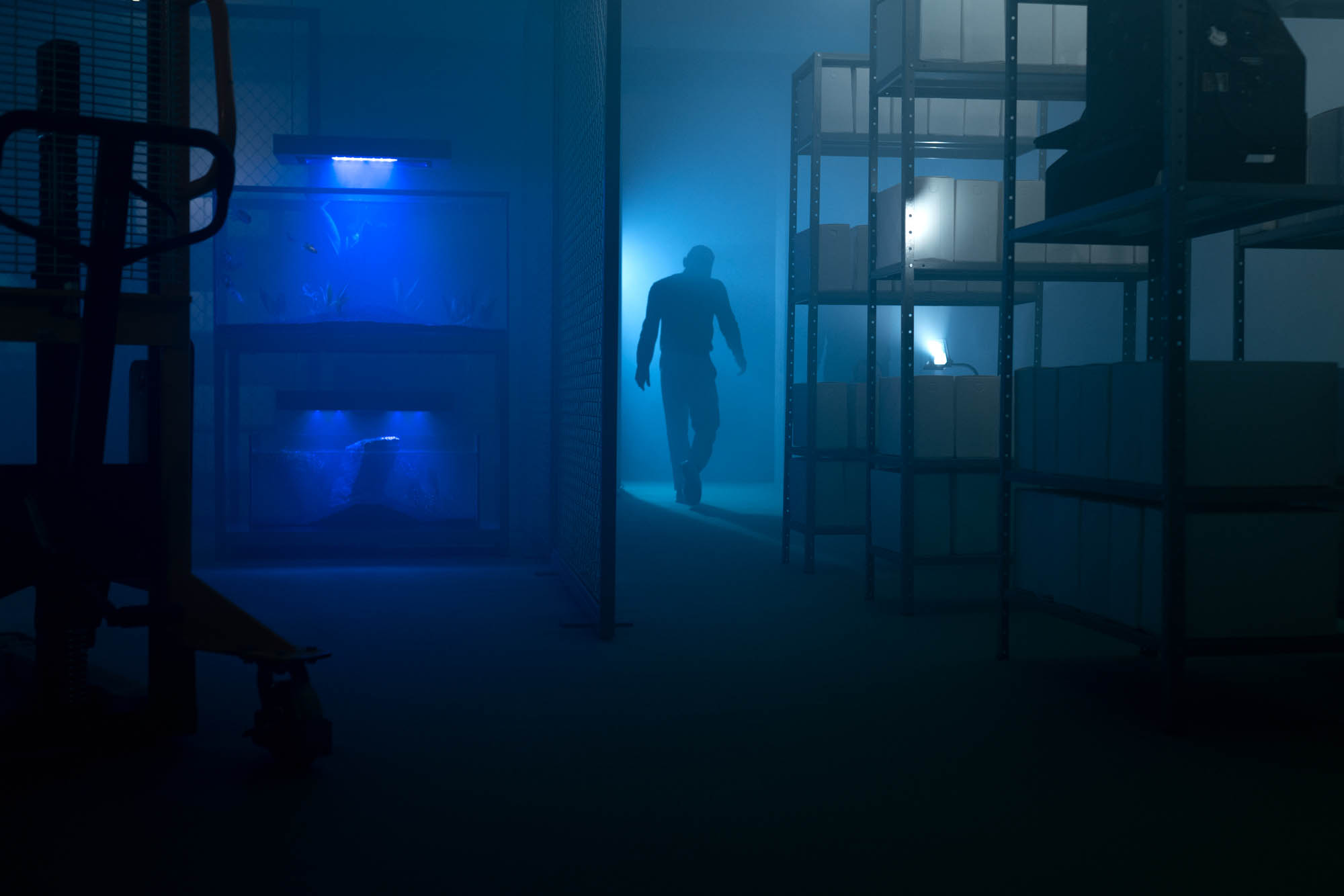 Museu Paranaense abre neste sábado inscrições para nova Ocupação do Espaço Vitrine