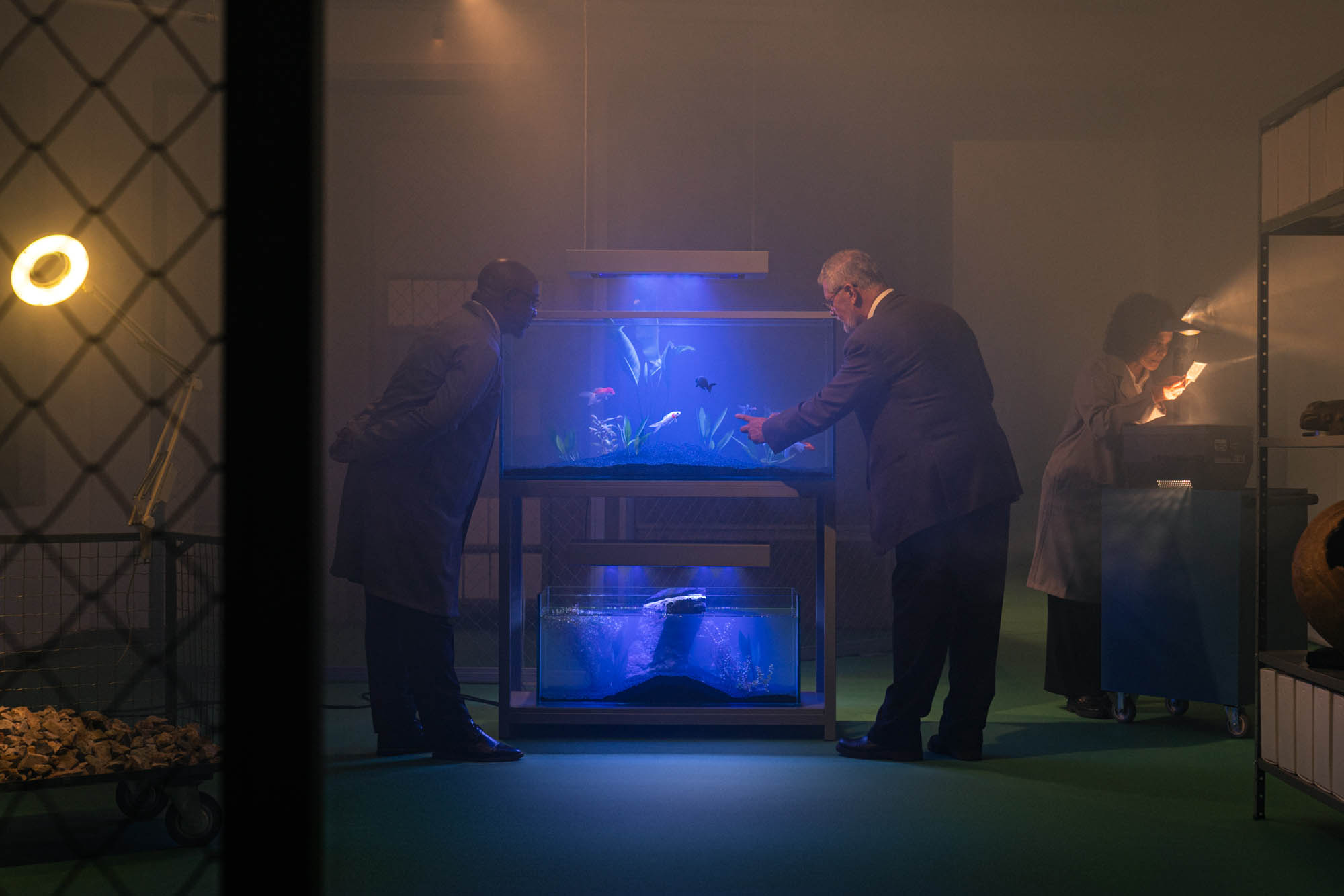 Museu Paranaense abre neste sábado inscrições para nova Ocupação do Espaço Vitrine