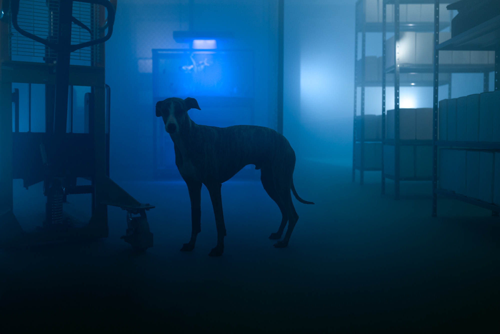 Museu Paranaense abre neste sábado inscrições para nova Ocupação do Espaço Vitrine