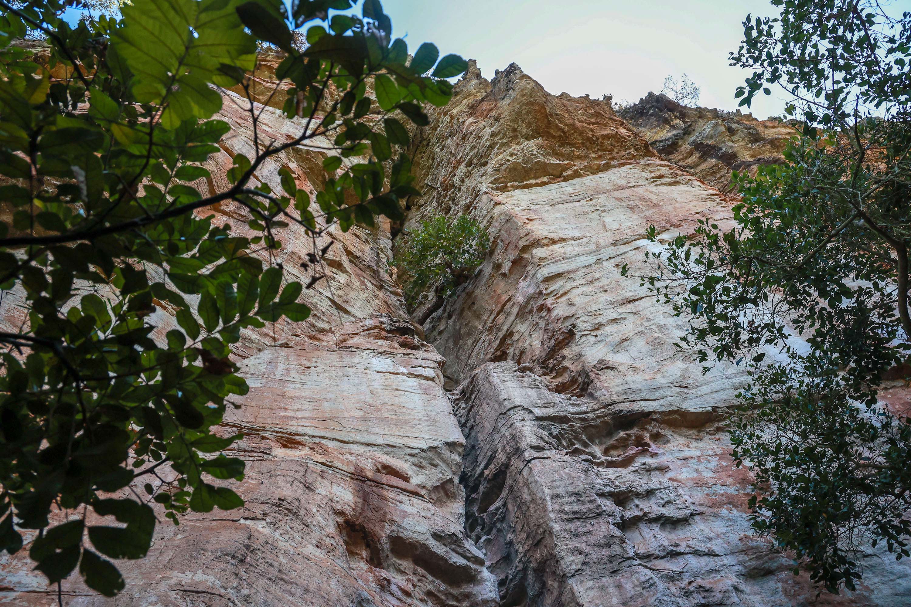 Cervos, araucárias e humanos: a pré-história do Paraná está nas paredes de Piraí do Sul