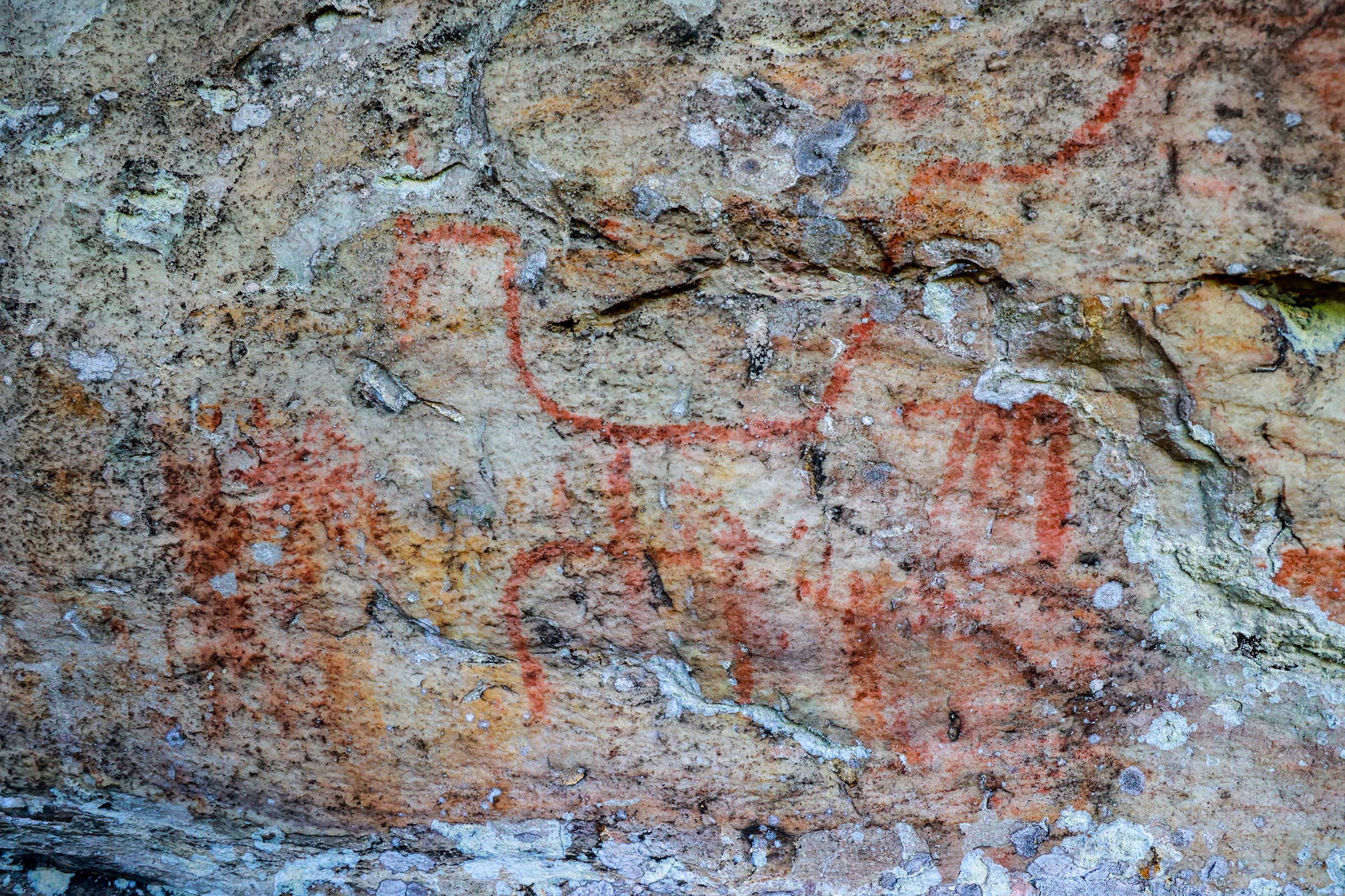 Cervos, araucárias e humanos: a pré-história do Paraná está nas paredes de Piraí do Sul