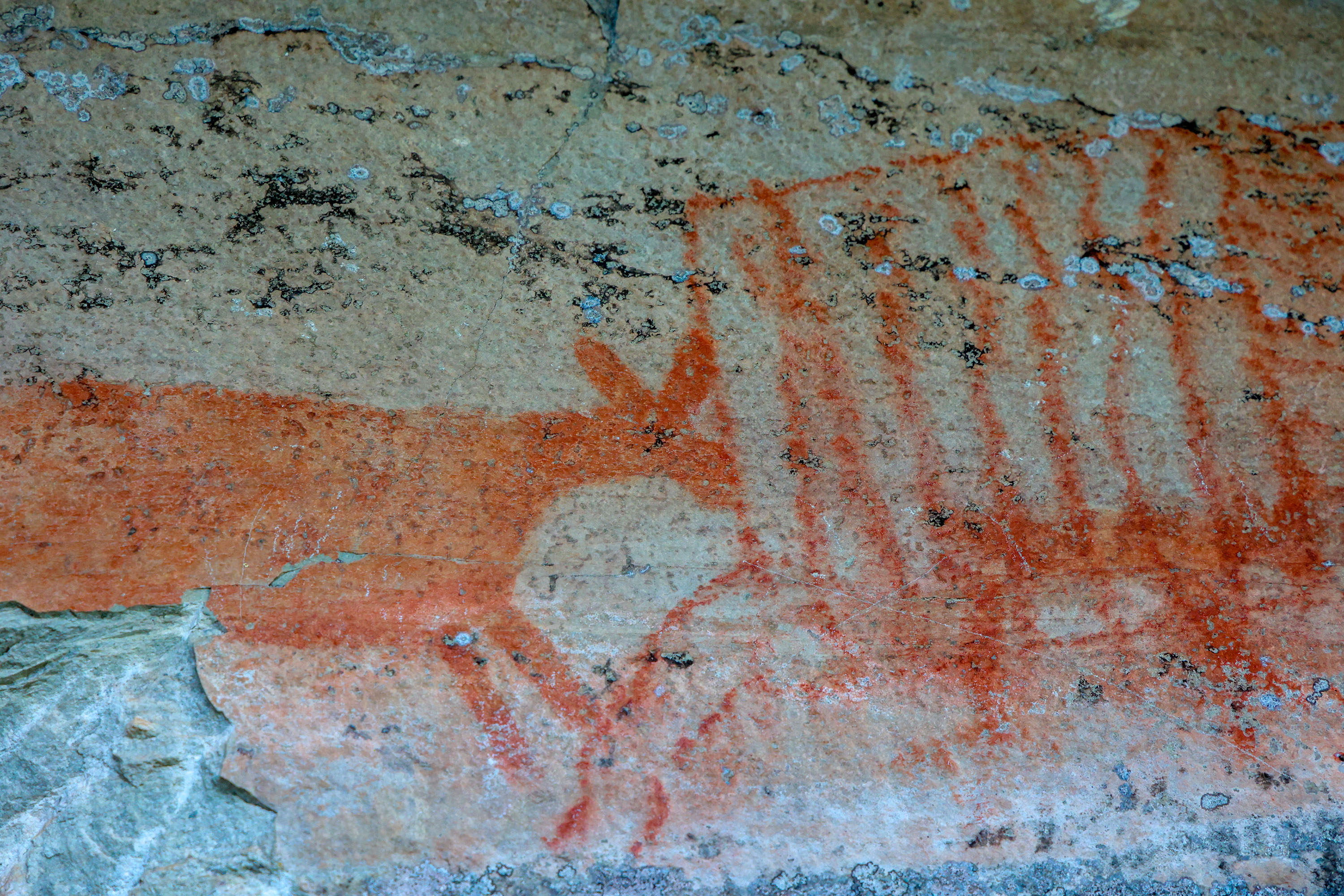 Cervos, araucárias e humanos: a pré-história do Paraná está nas paredes de Piraí do Sul