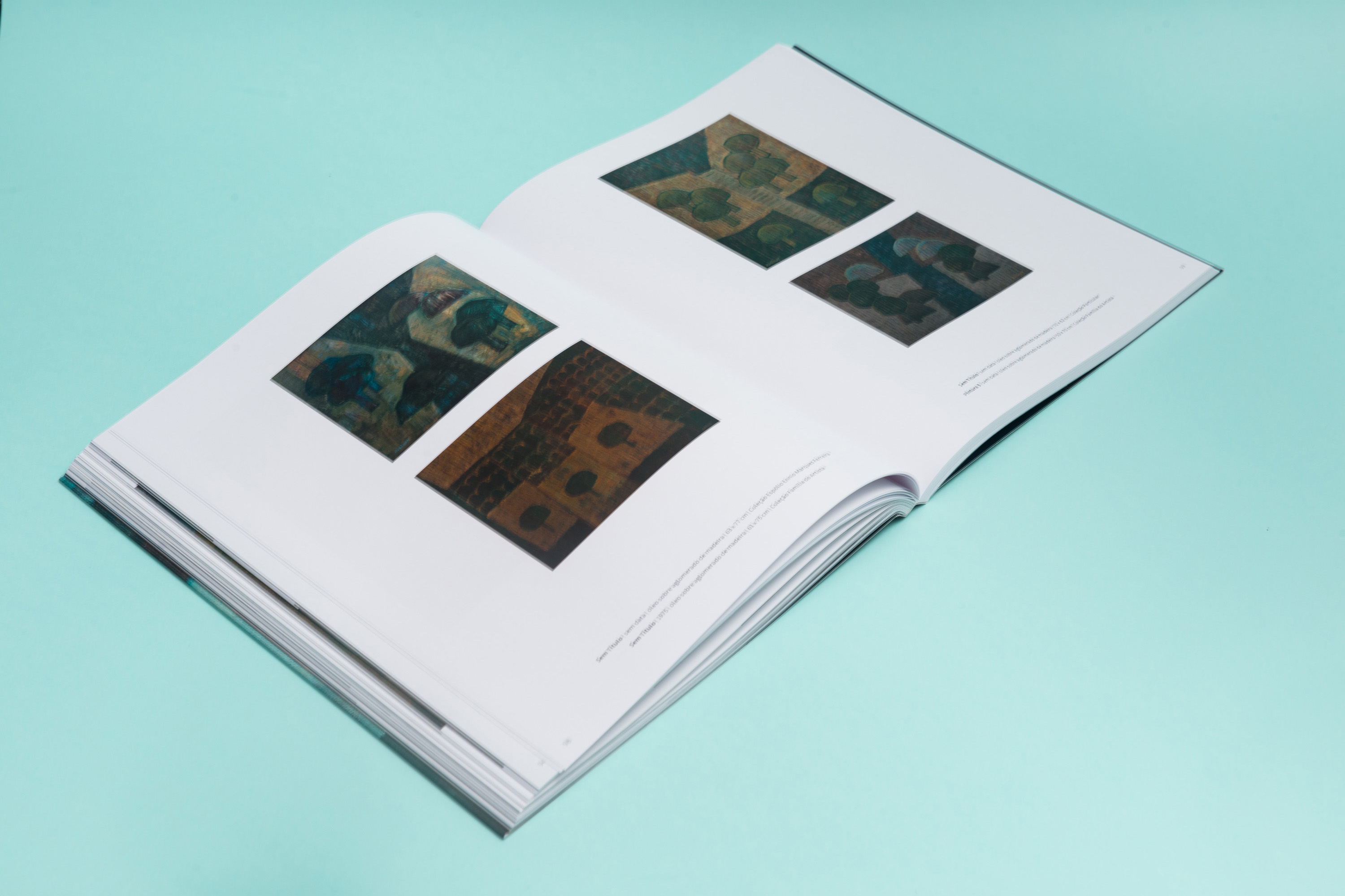 MON - Catálogo da mostra de Mario Rubinski