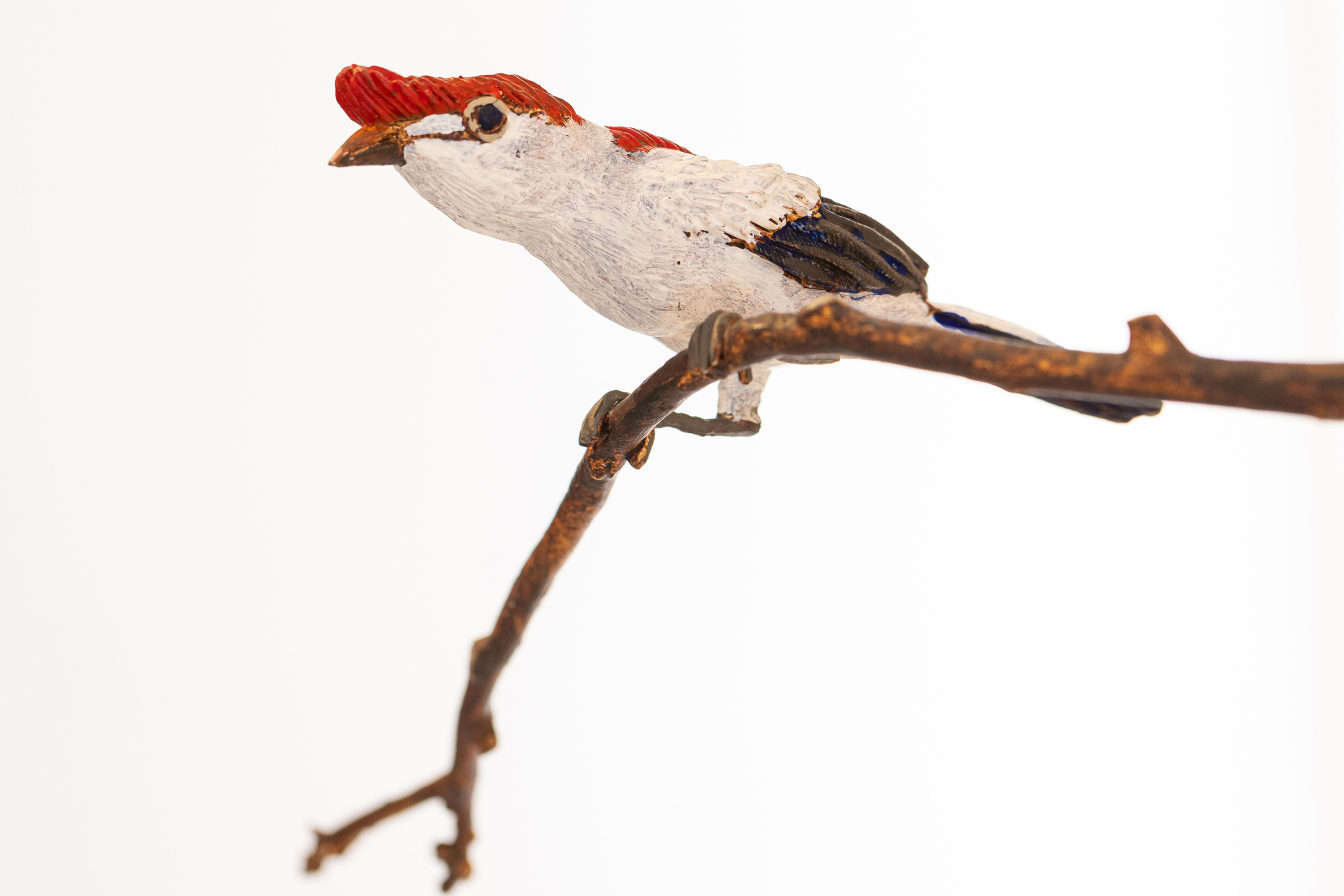 Humberto Gessinger, Efrain Almeida e Noite de Ideias: confira a semana da Cultura