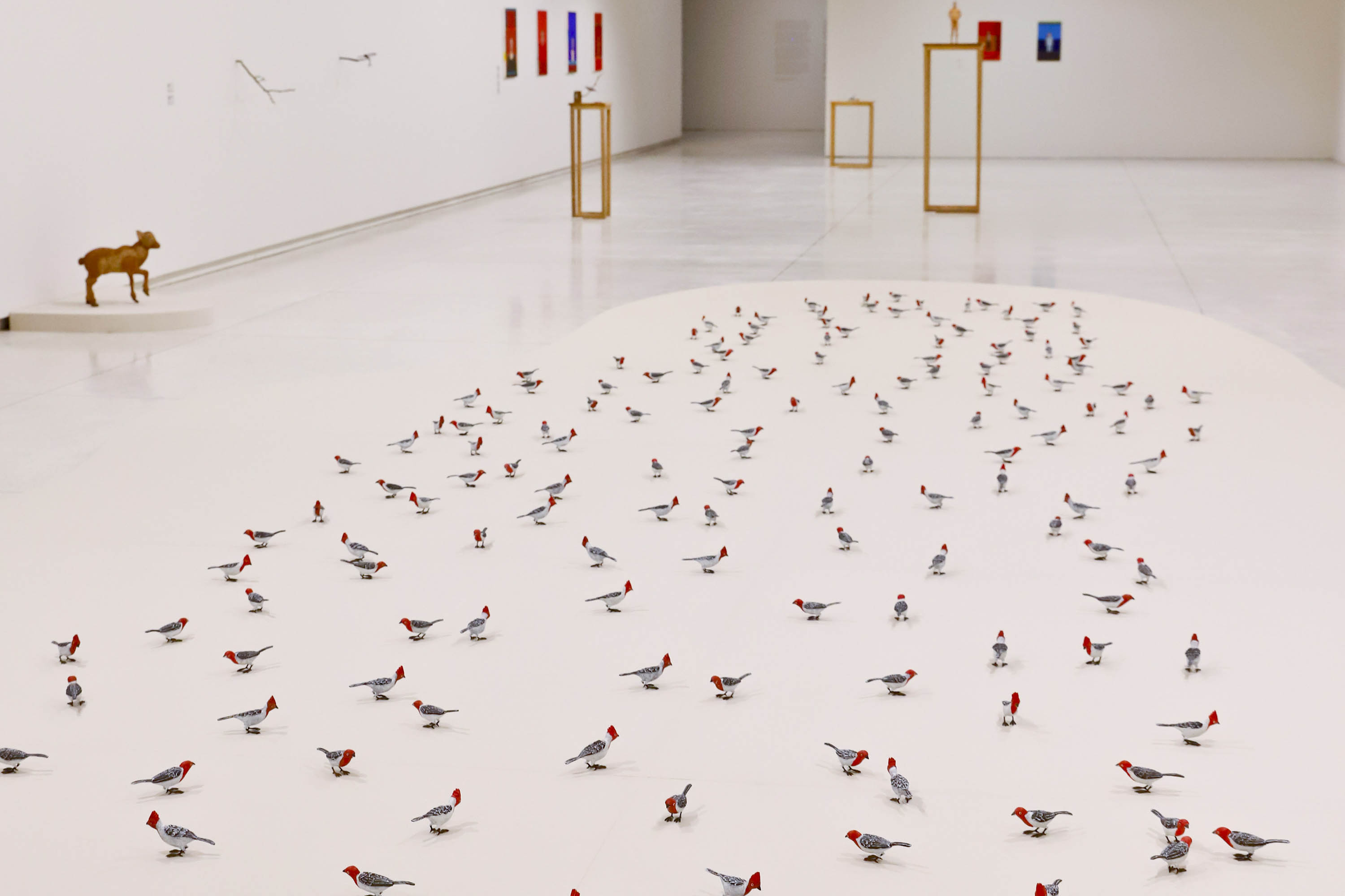 MON promove encontros para público 60+ sobre a mostra de Efrain Almeida