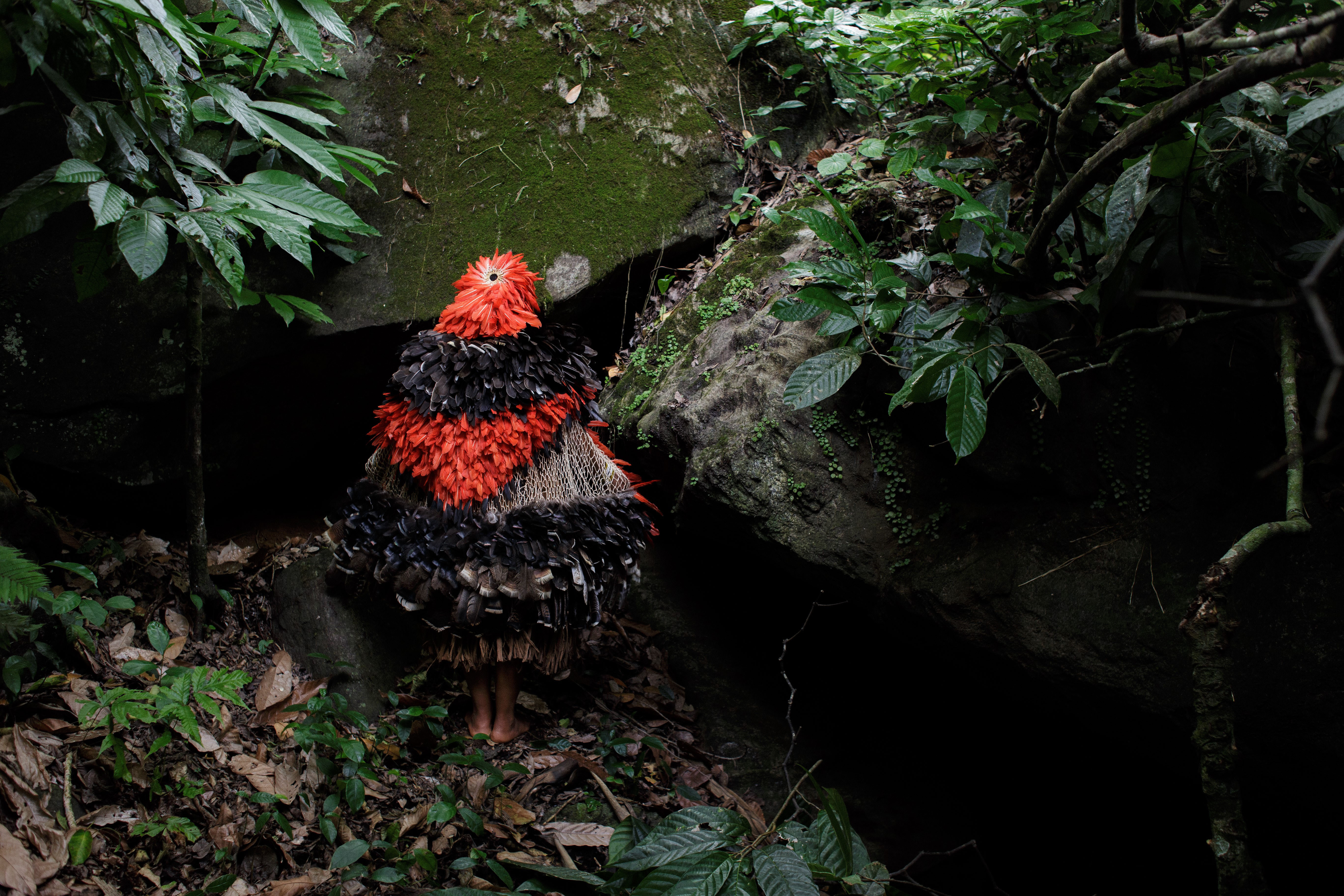 Museu Paranaense (MUPA) - Videoinstalação de Glicéria Tupinambá – Já está em cartaz a videoinstalação “Nós somos pássaros que andam”, da artista e ativista indígena Glicéria Tupinambá.
