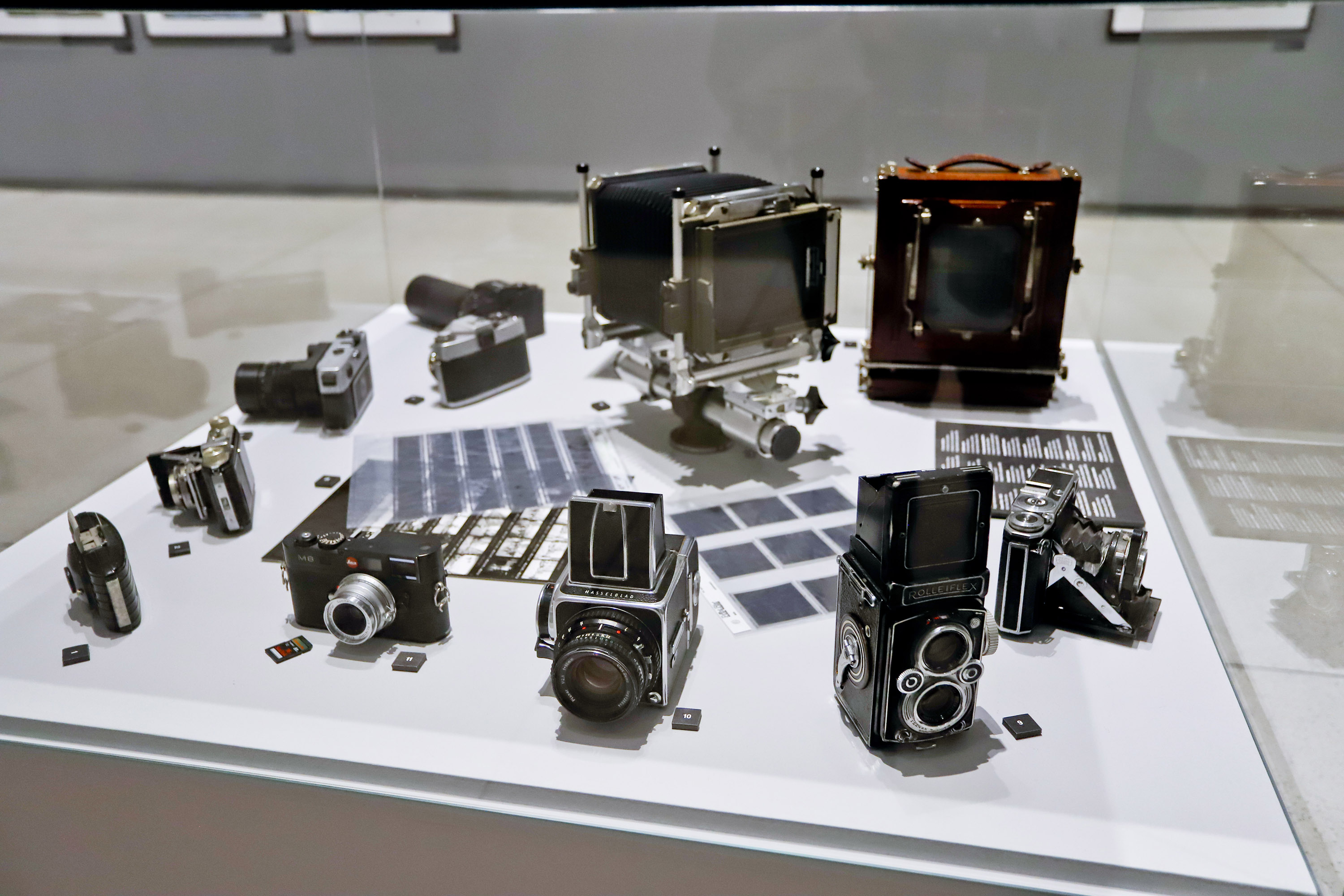 Museu Oscar Niemeyer oferece oficinas e visitas mediadas gratuitas em agosto