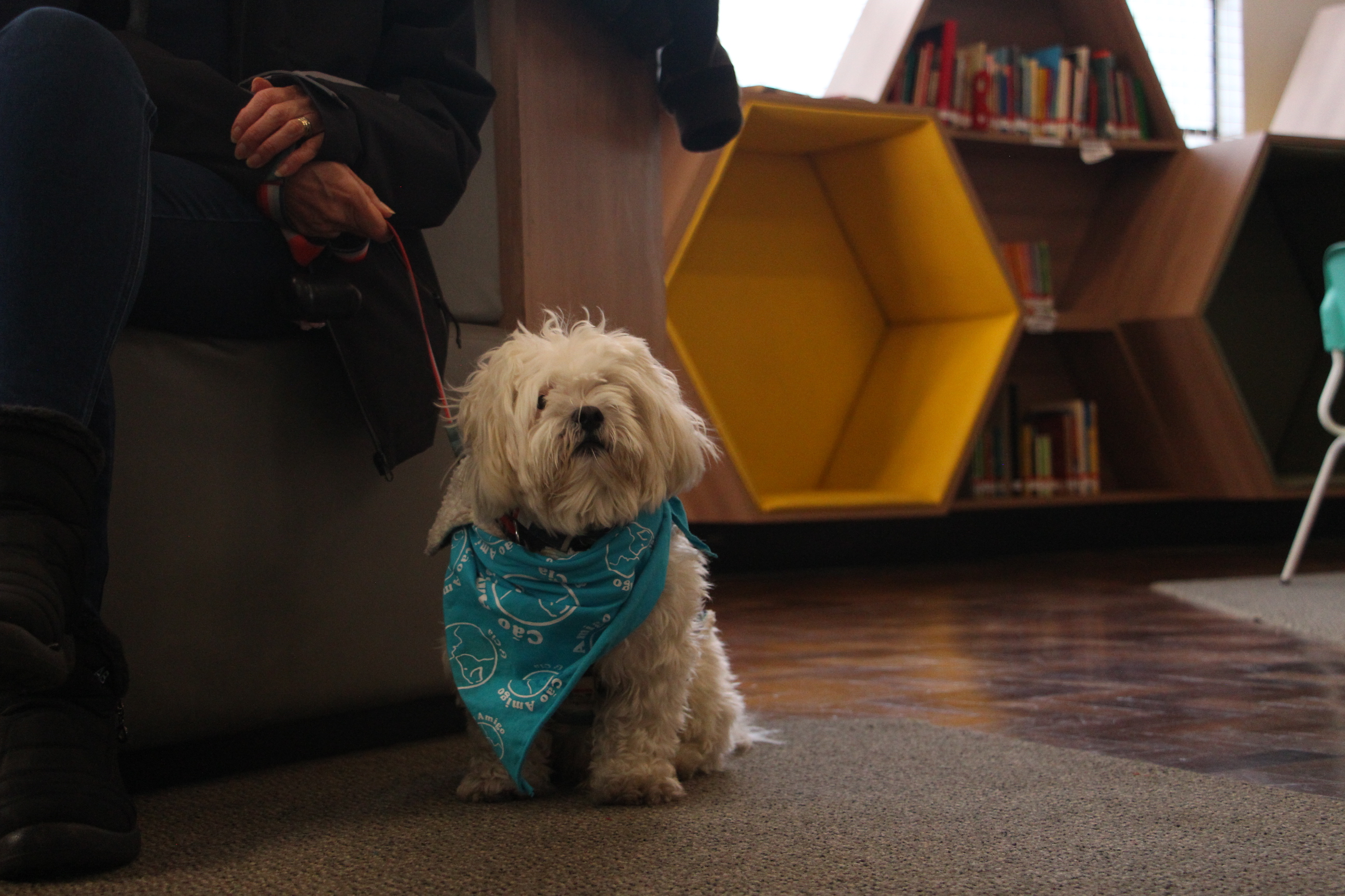 Orquestra Sinfônica, Cine Inclusivo e atividades especiais: confira a agenda cultural