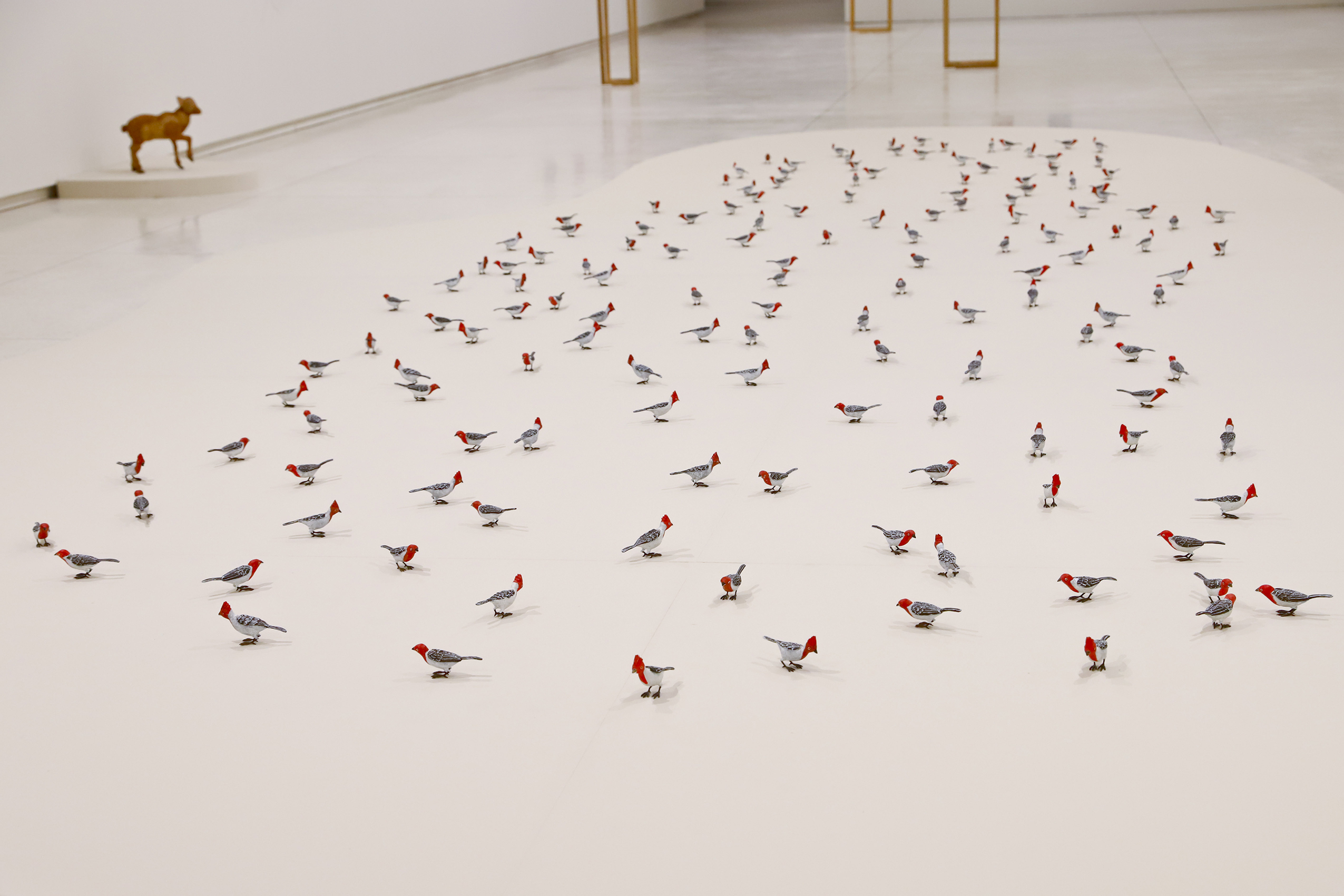 Colaboradores do MON falam sobre suas obras de arte preferidas