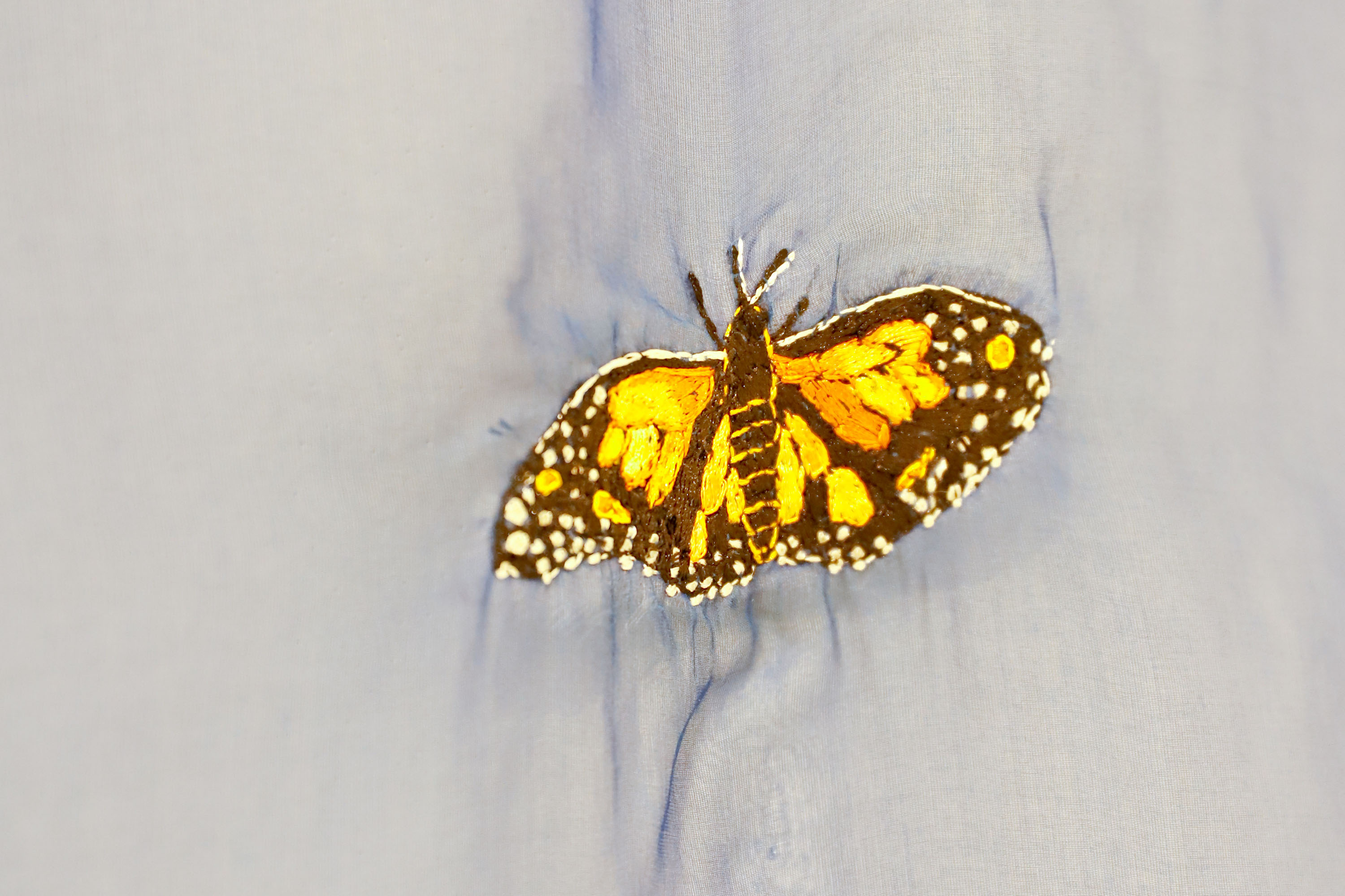 MON promove oficina de bordado gratuita sobre a mostra de Efrain Almeida