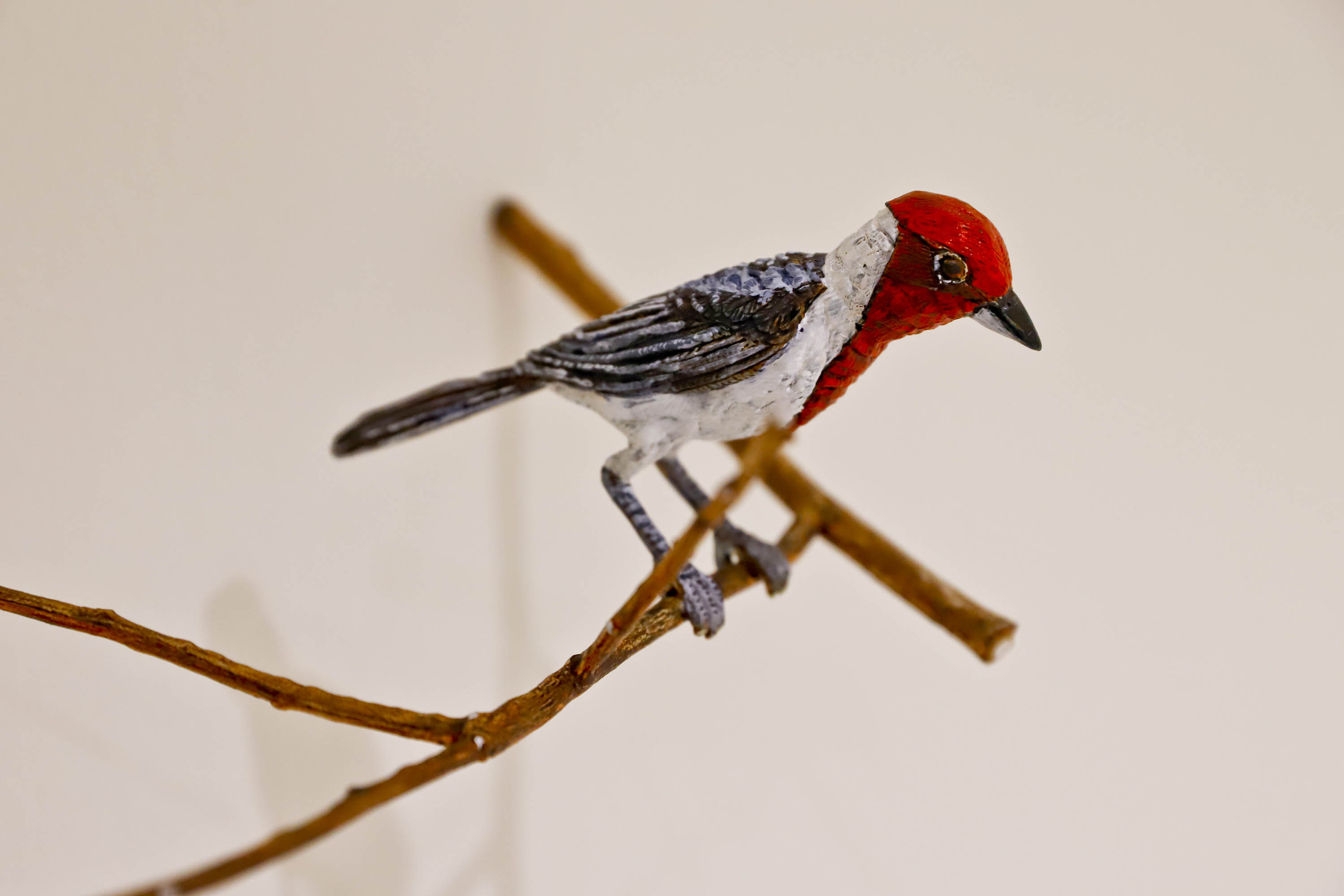 Mostra “O Jardim” terá exibição e debate sobre o documentário de Efrain Almeida no MON