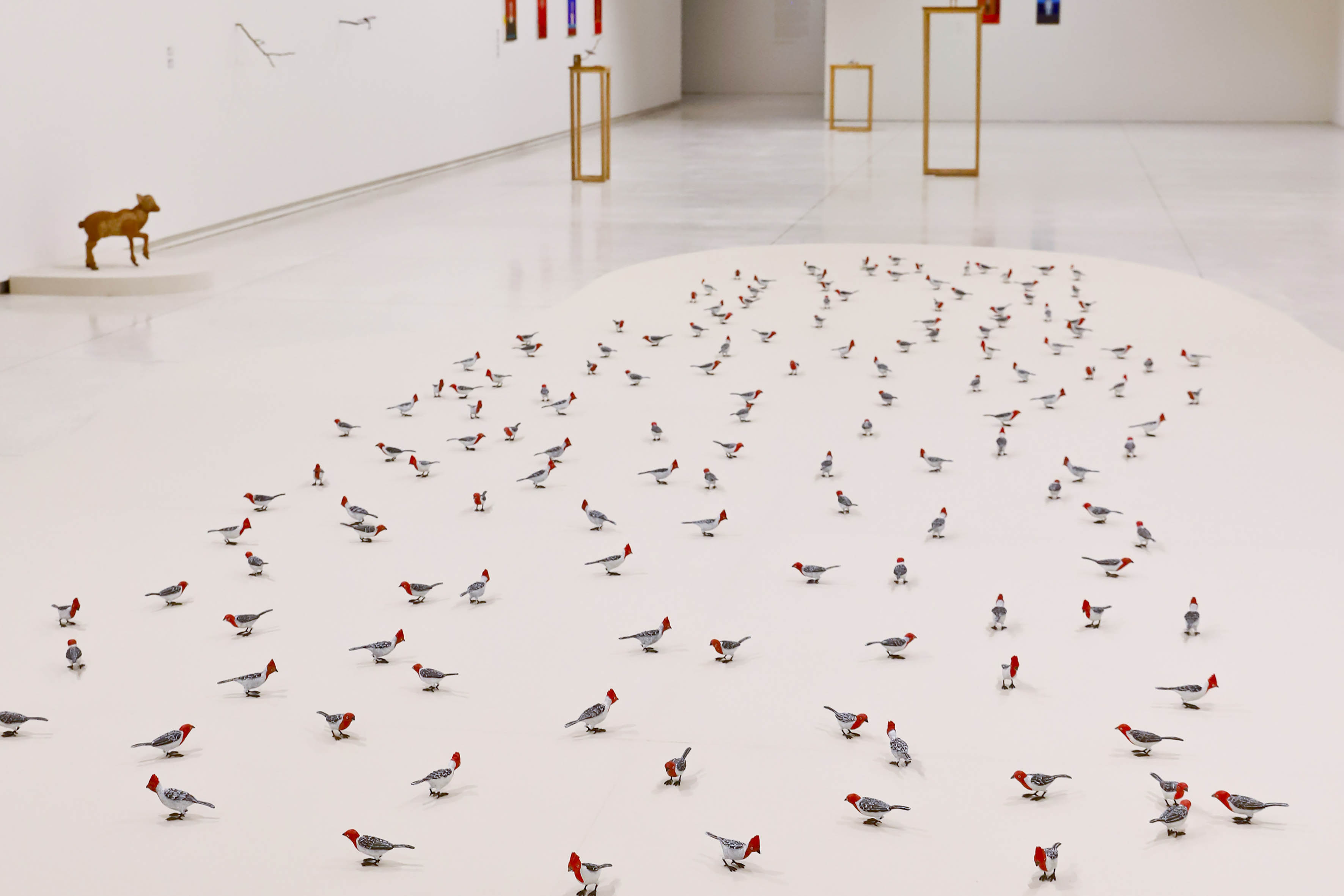 Mostra “O Jardim” terá exibição e debate sobre o documentário de Efrain Almeida no MON