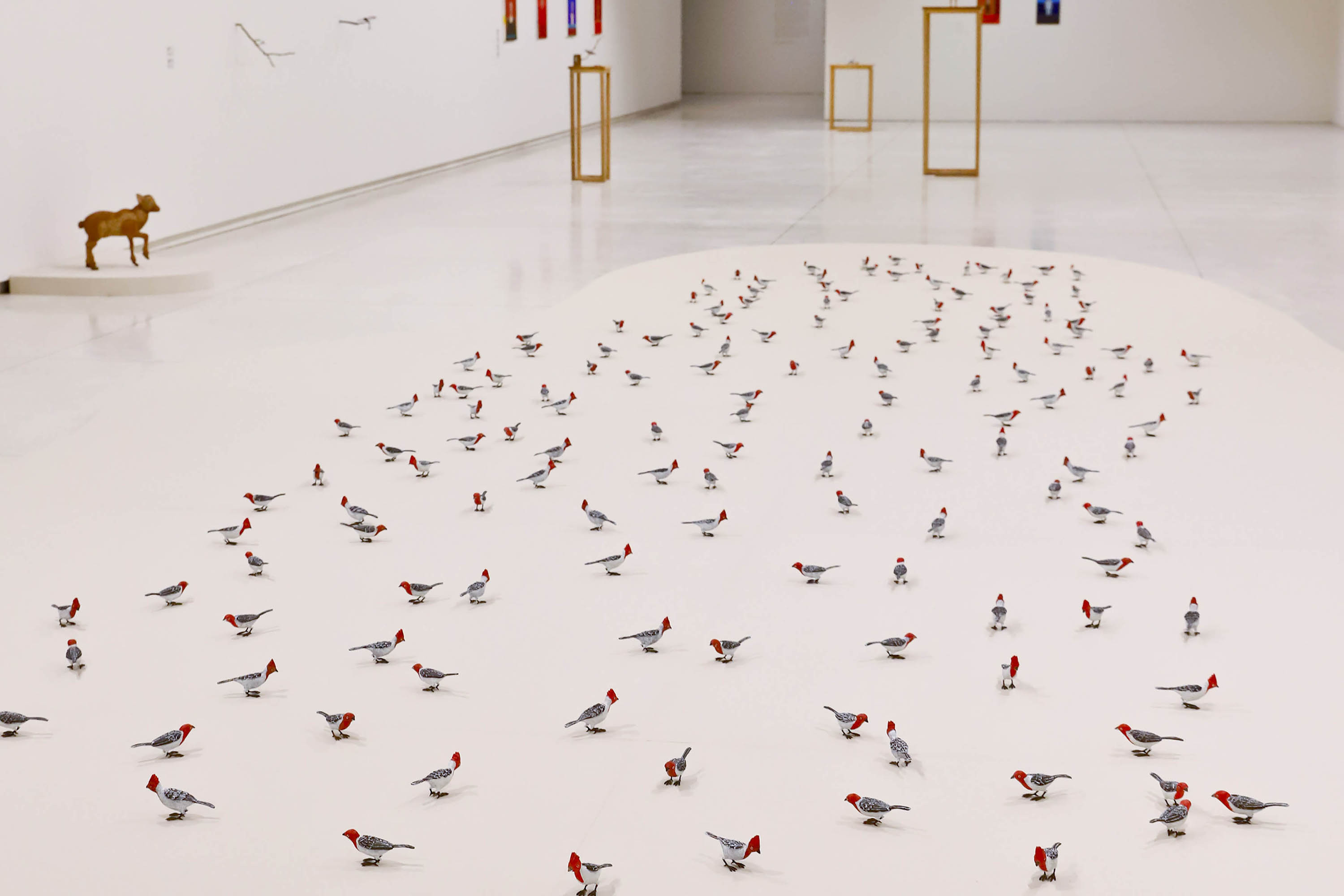 Museu Oscar Niemeyer (MON) - Visita Mediada e Cine Debate -  Efrain Almeida