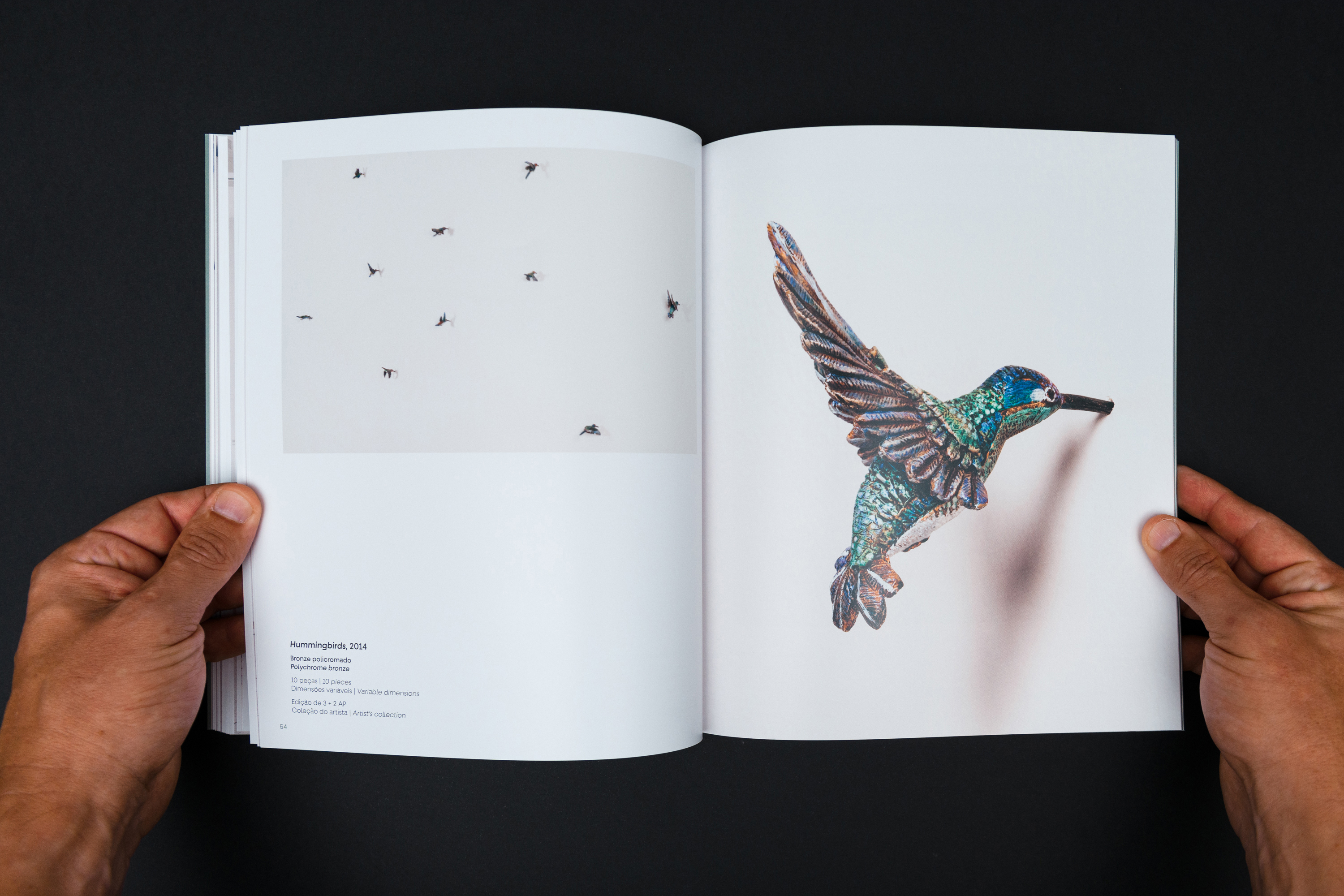 Catálogo da mostra de Efrain Almeida está disponível na MON Loja