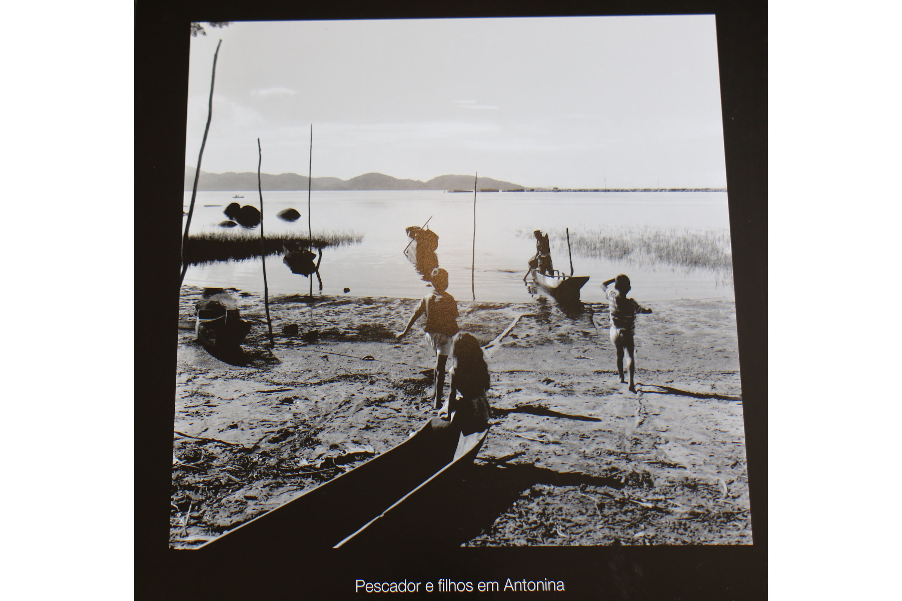 Diogo Nogueira e Coral Sanepar, arte nos museus e mostra em Antonina agitam a cultura