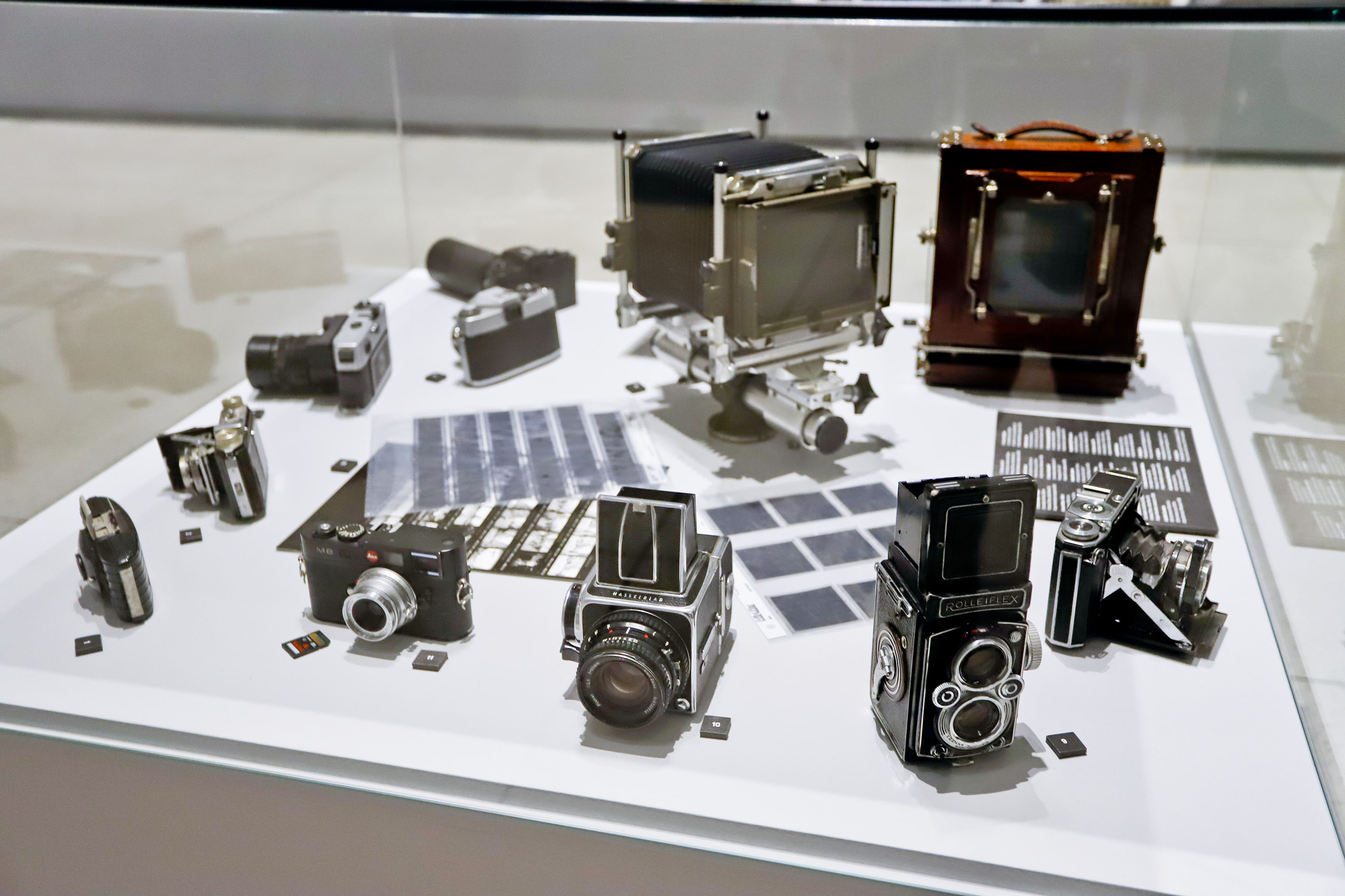 MON promove para o público 60+ a primeira atividade educativa do ano