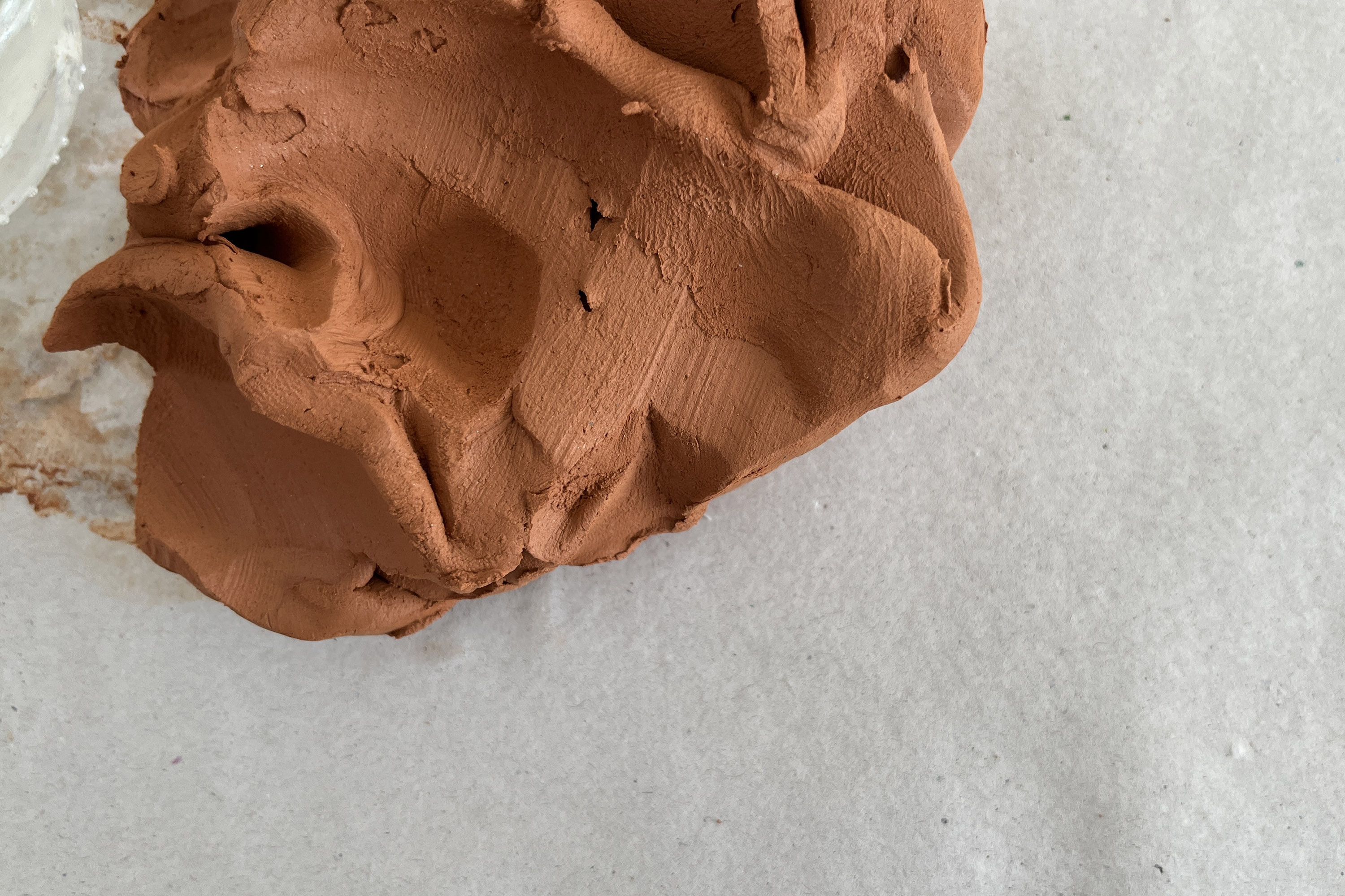 Programação de oficinas e mediações gratuitas do MON em abril está disponível