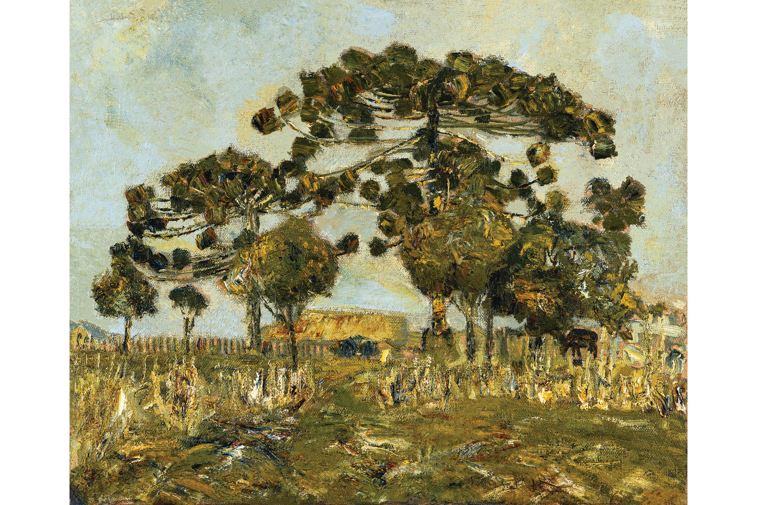 MON realiza exposição individual de Miguel Bakun