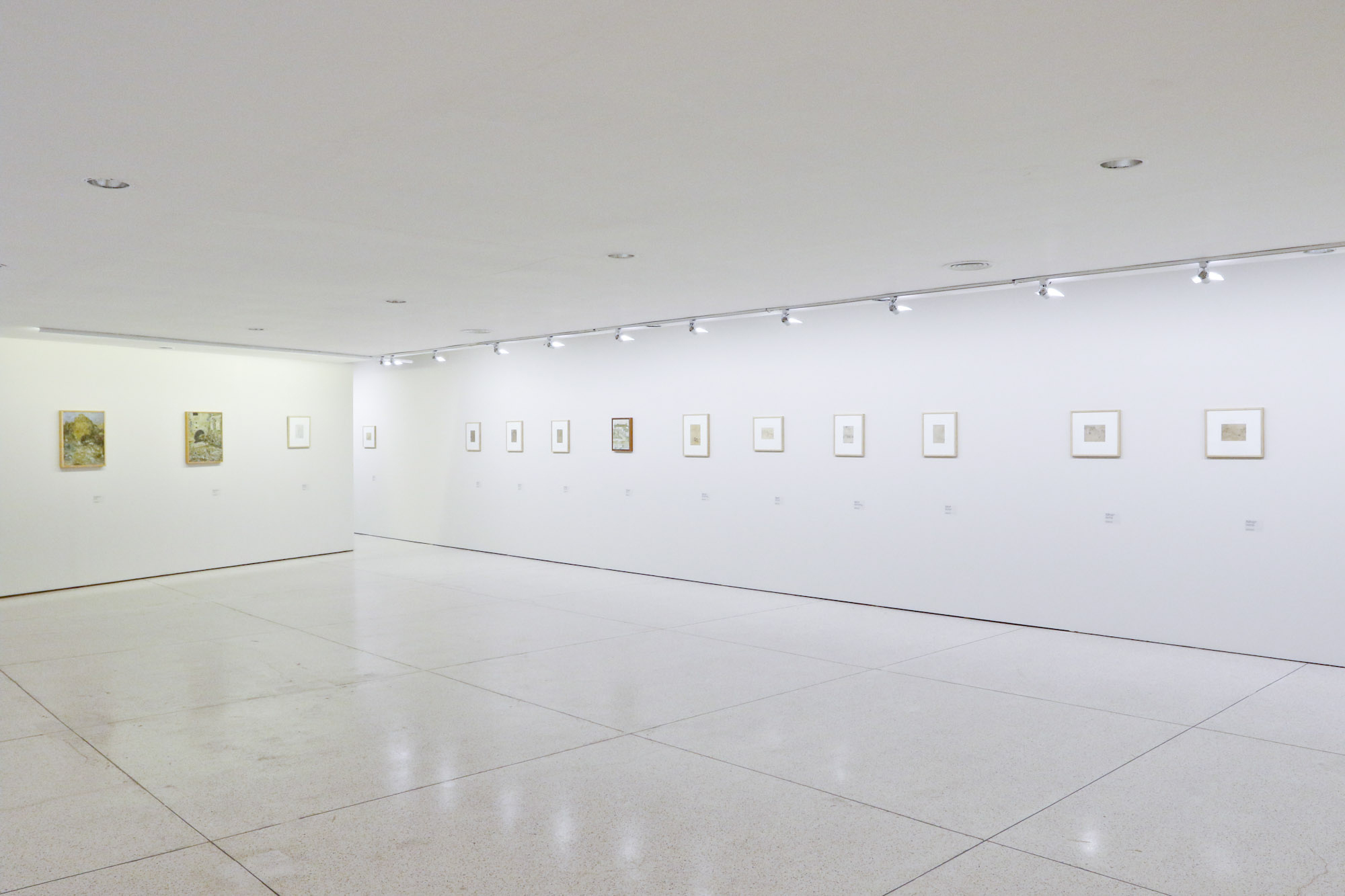 Programa Arte para Maiores de maio vai abordar a obra do paranaense Miguel Bakun