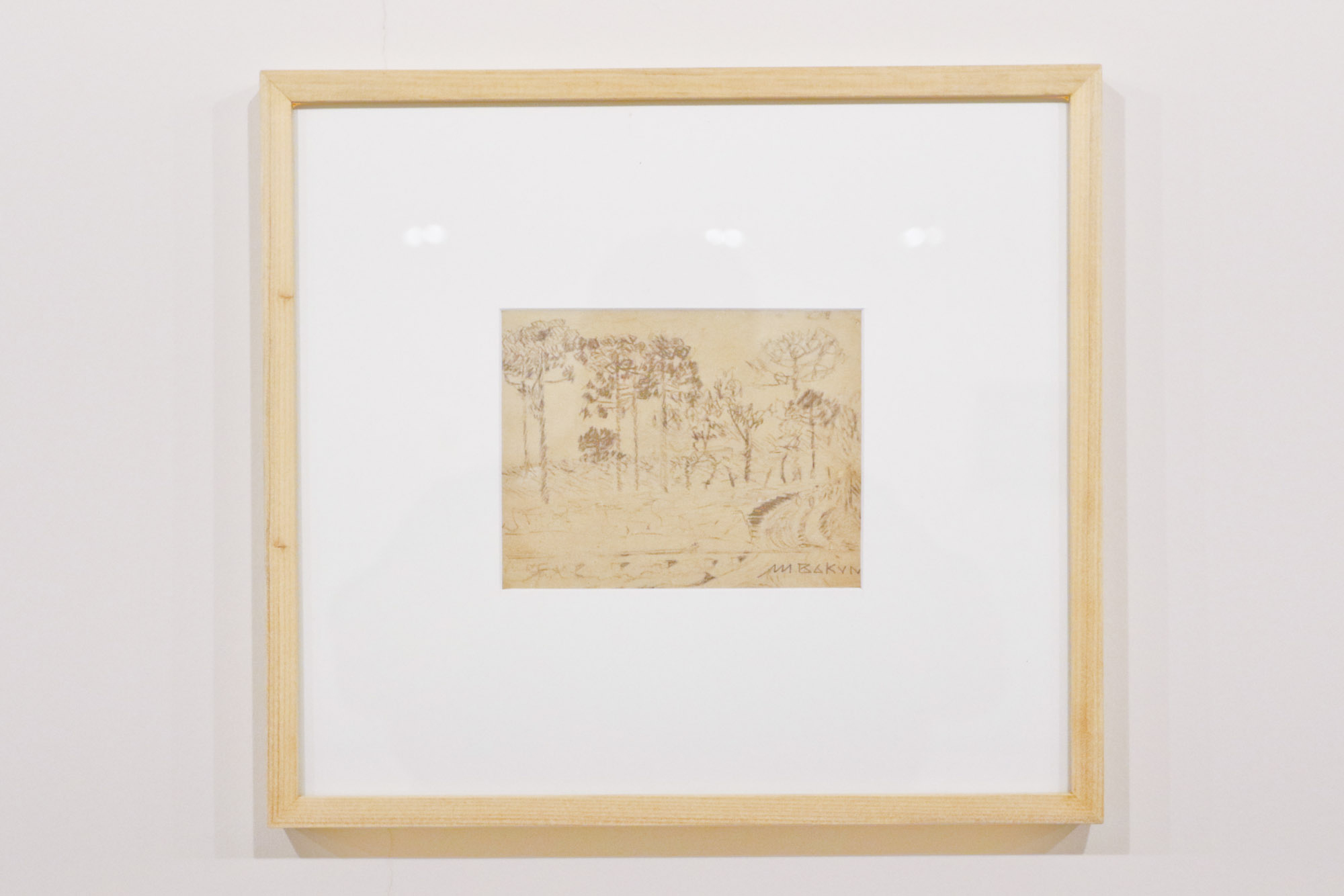 Programa Arte para Maiores de maio vai abordar a obra do paranaense Miguel Bakun