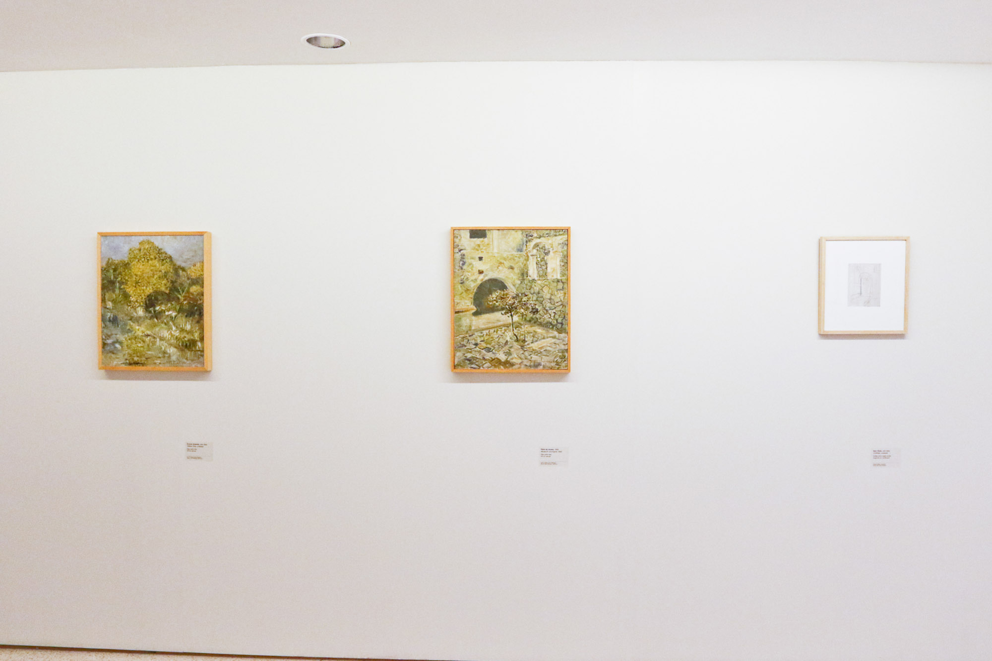 Programa Arte para Maiores de maio vai abordar a obra do paranaense Miguel Bakun