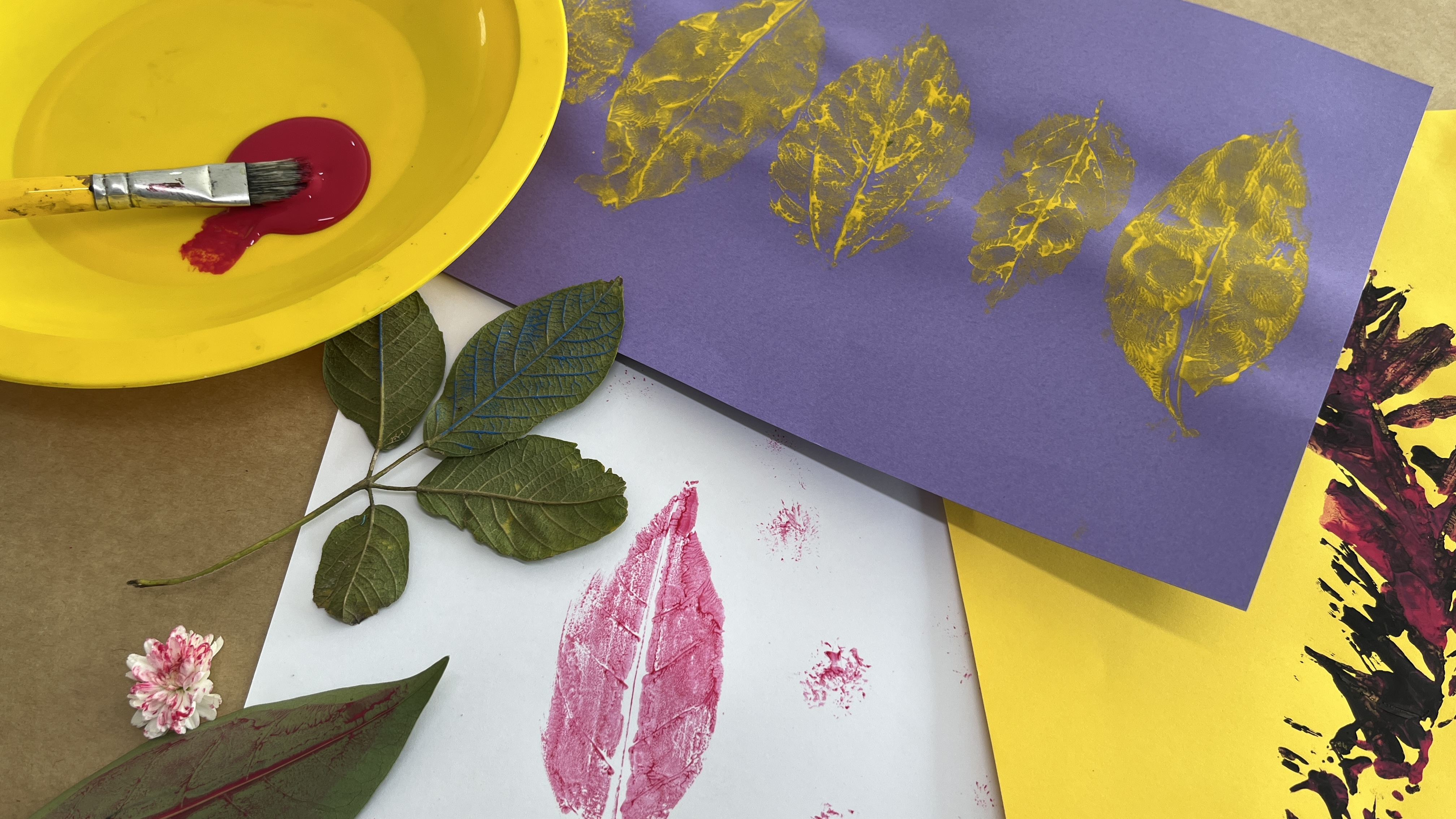 Museu Oscar Niemeyer divulga atividades educativas gratuitas para o mês de maio