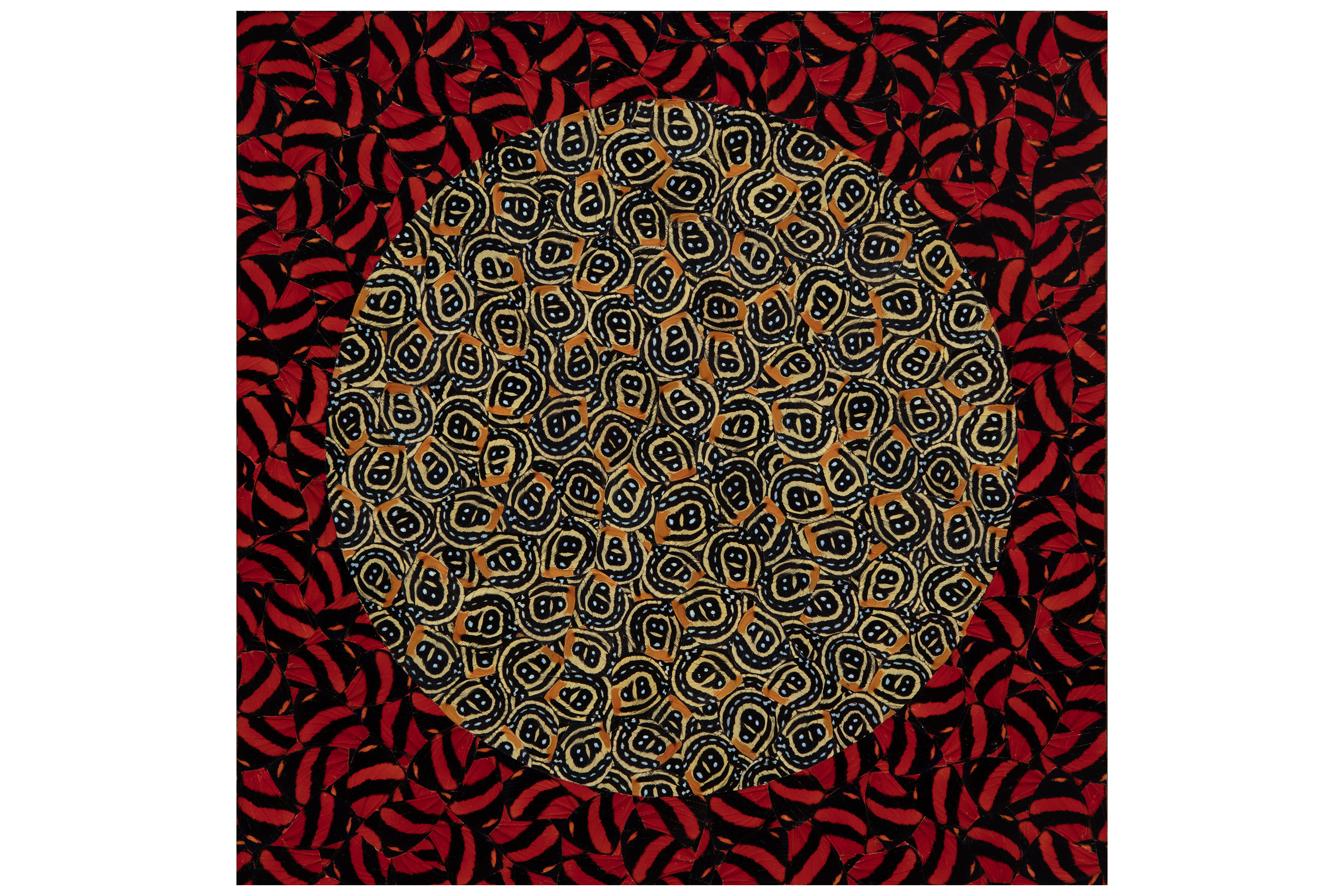 A exposição “Veemente”, do artista mexicano Gabriel de la Mora, é a mais nova realização do Museu Oscar Niemeyer (MON)