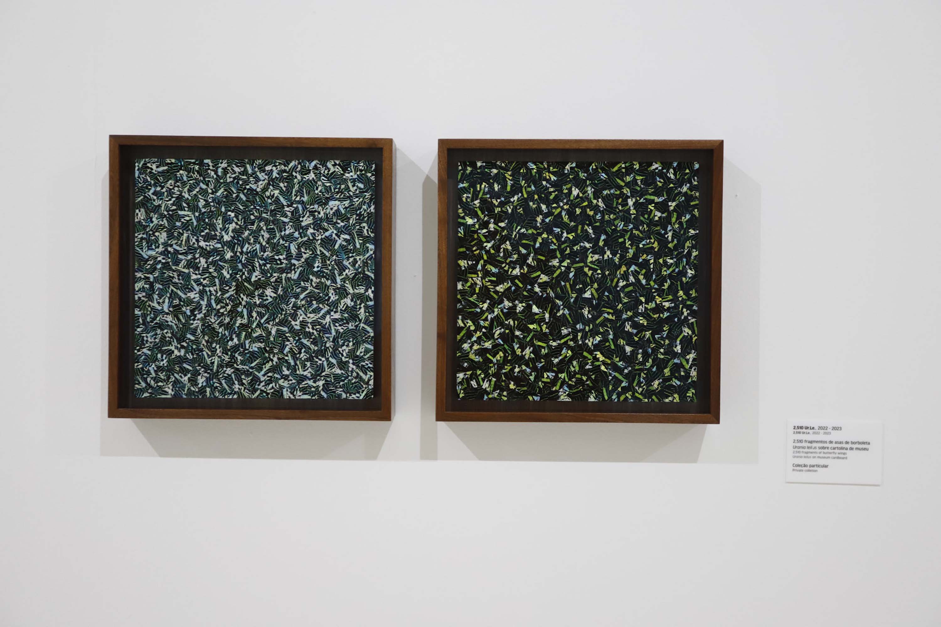 Arte para Maiores promove encontro na mostra “Veemente”, de Gabriel de la Mora