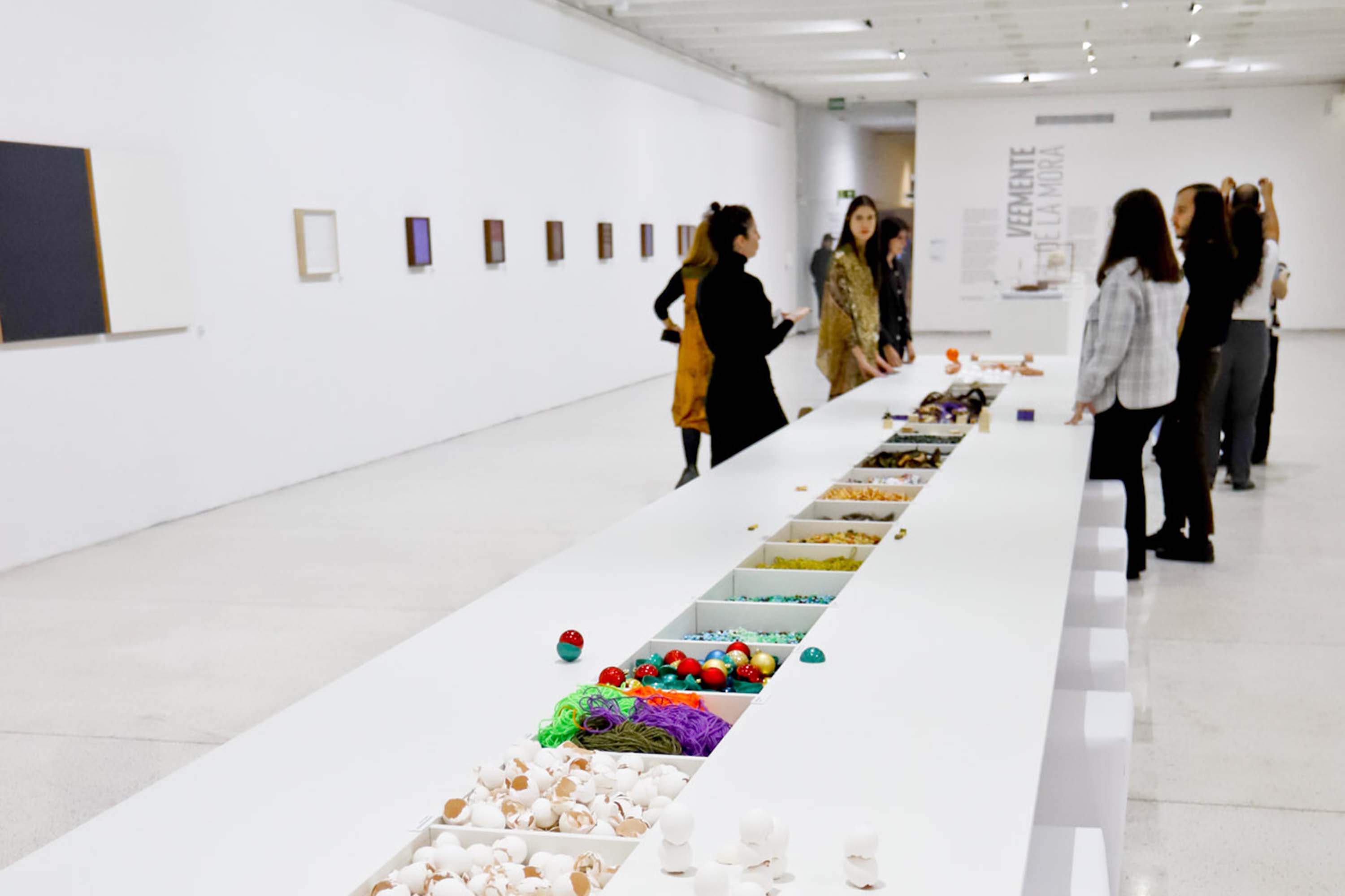 Arte para Maiores promove encontro na mostra “Veemente”, de Gabriel de la Mora