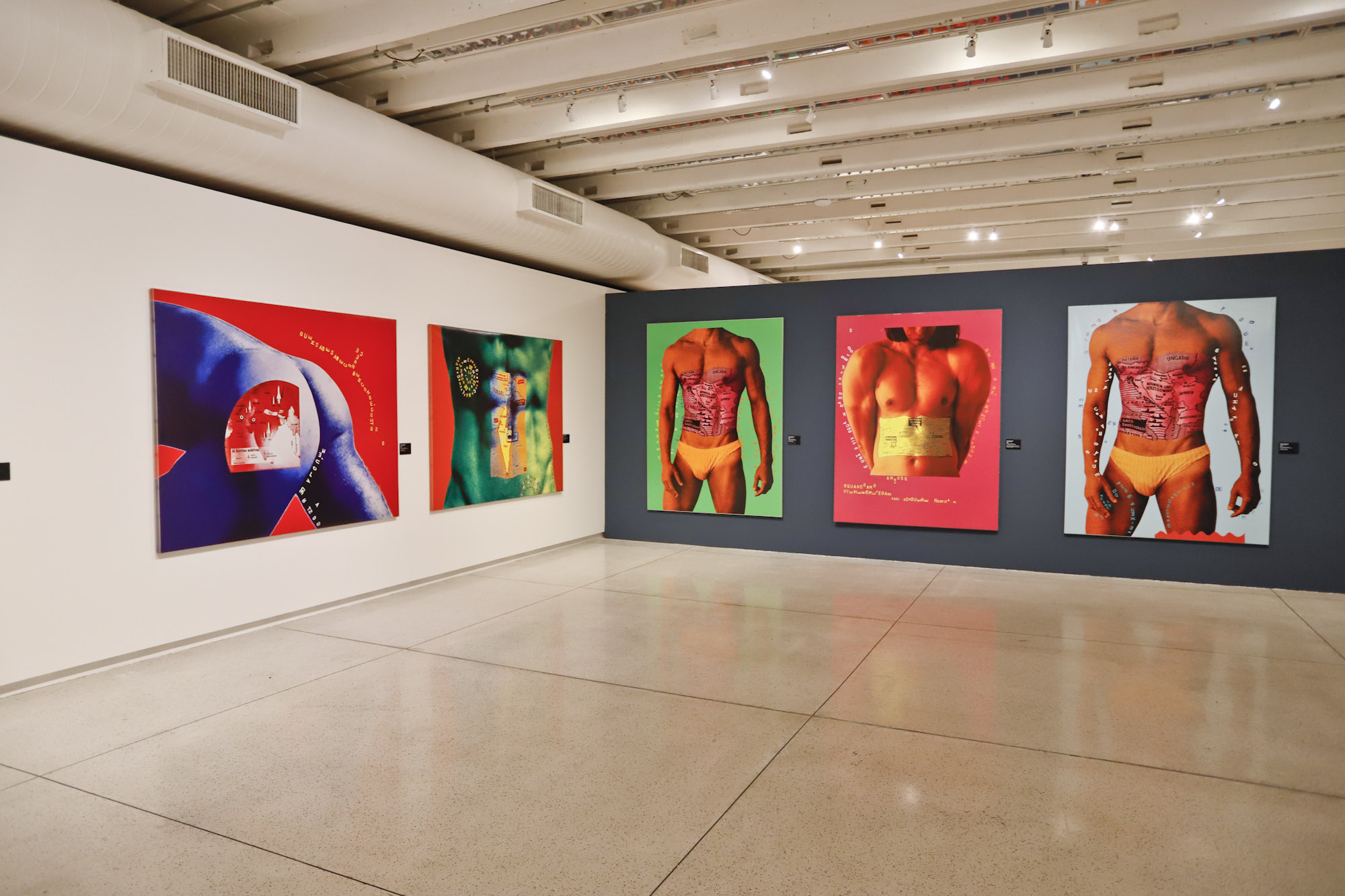 Exposição do artista Alex Flemming fica em cartaz até domingo no MON