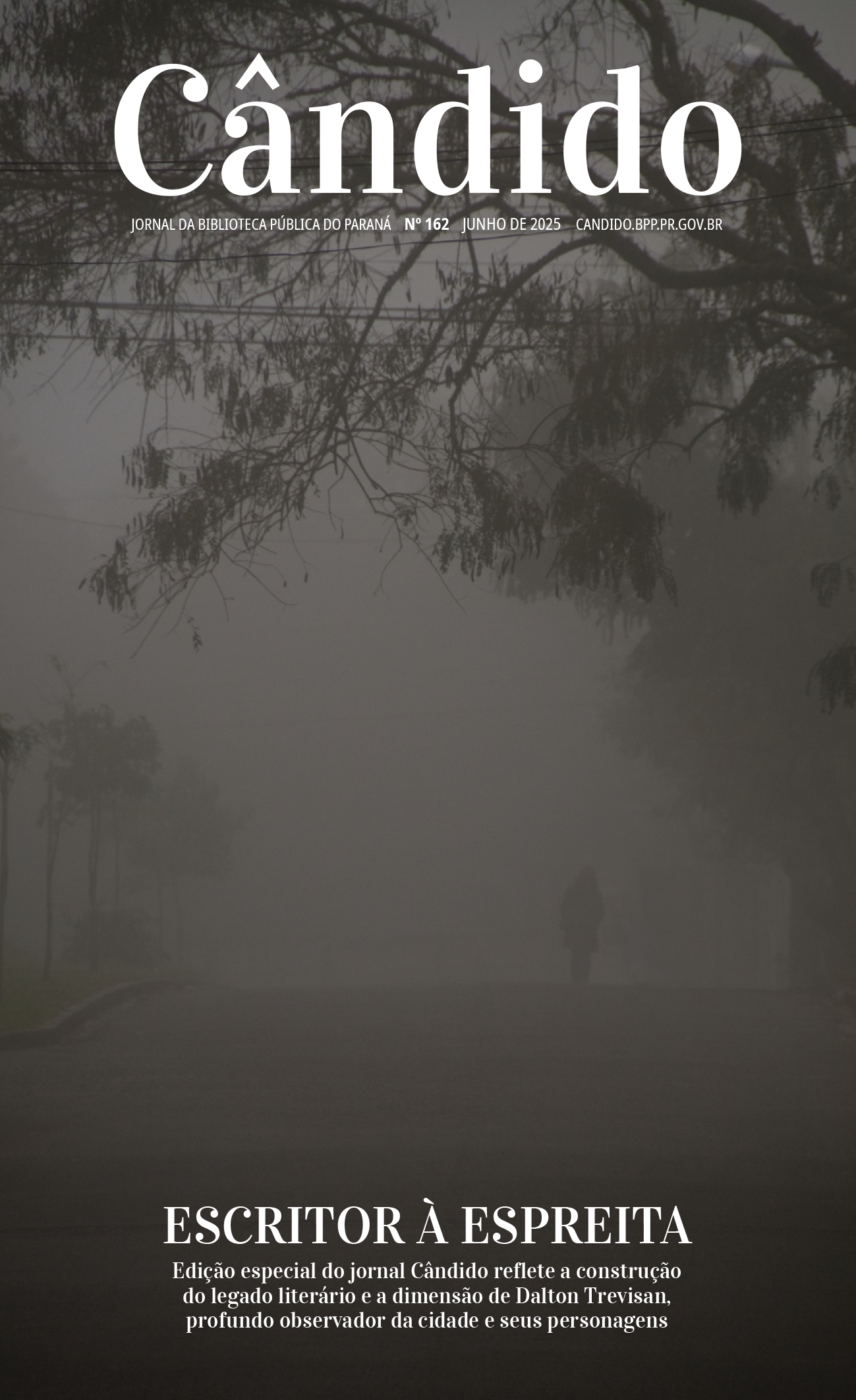 Feriado prolongado, Festival de Violoncelos e oficinas: confira a agenda cultural da semana