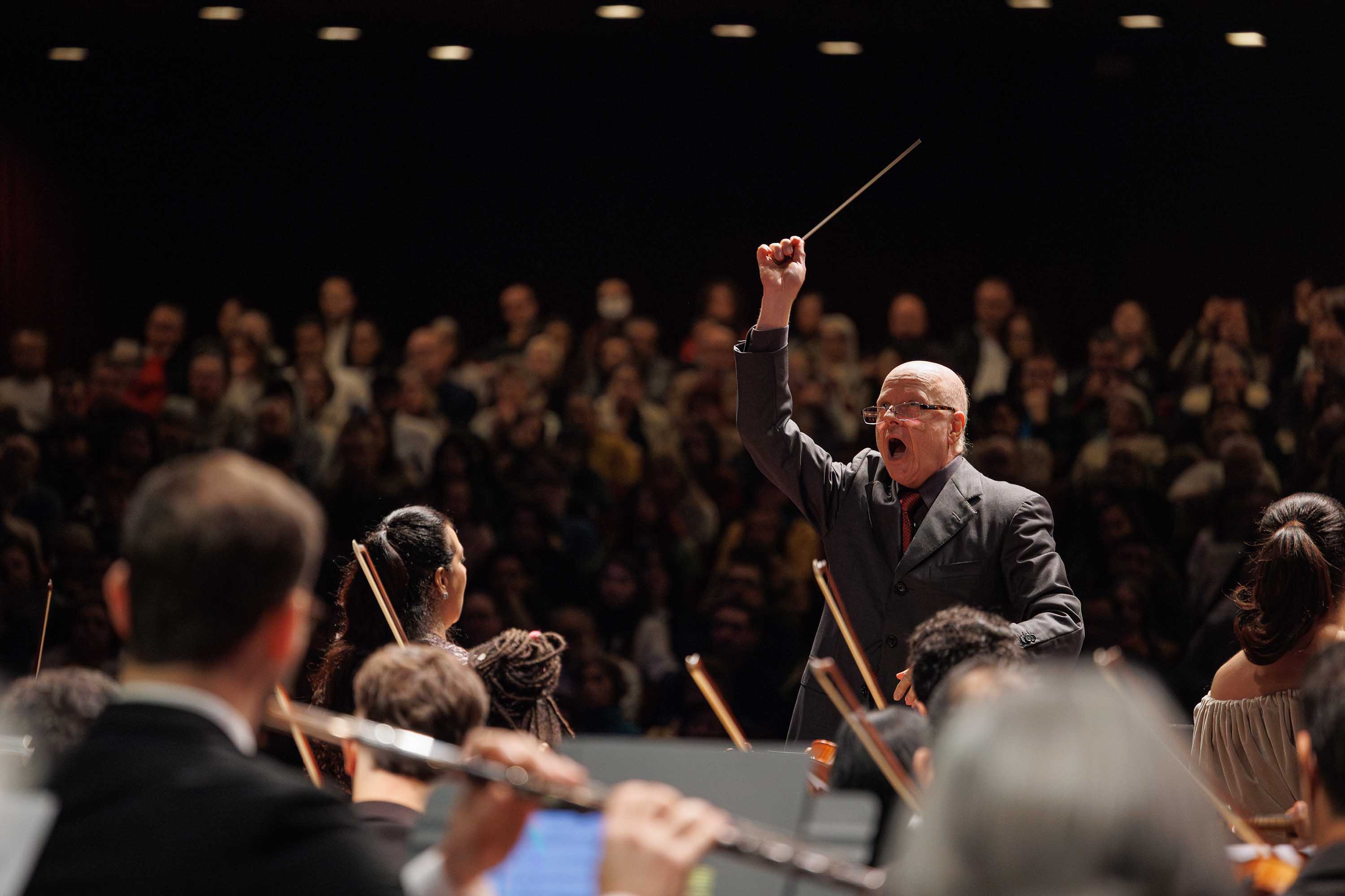 De Dalton Trevisan a Michael Jackson: agenda cultural da semana tem muitas atividades