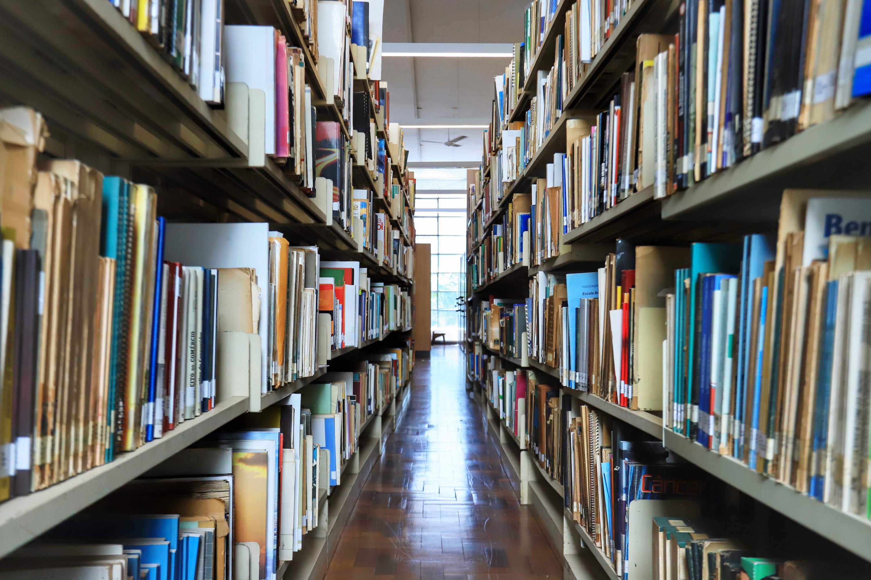 Entre letras e histórias: turismo literário do Paraná é cada vez mais reconhecido