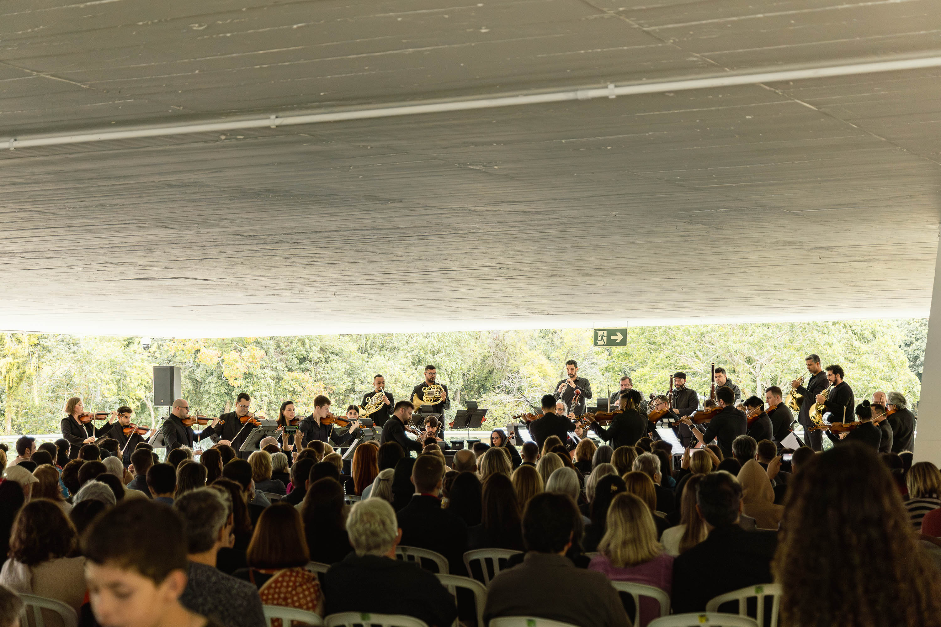Orquestra no MON, exposição de Barrão e visitas guiadas são destaques da agenda cultural