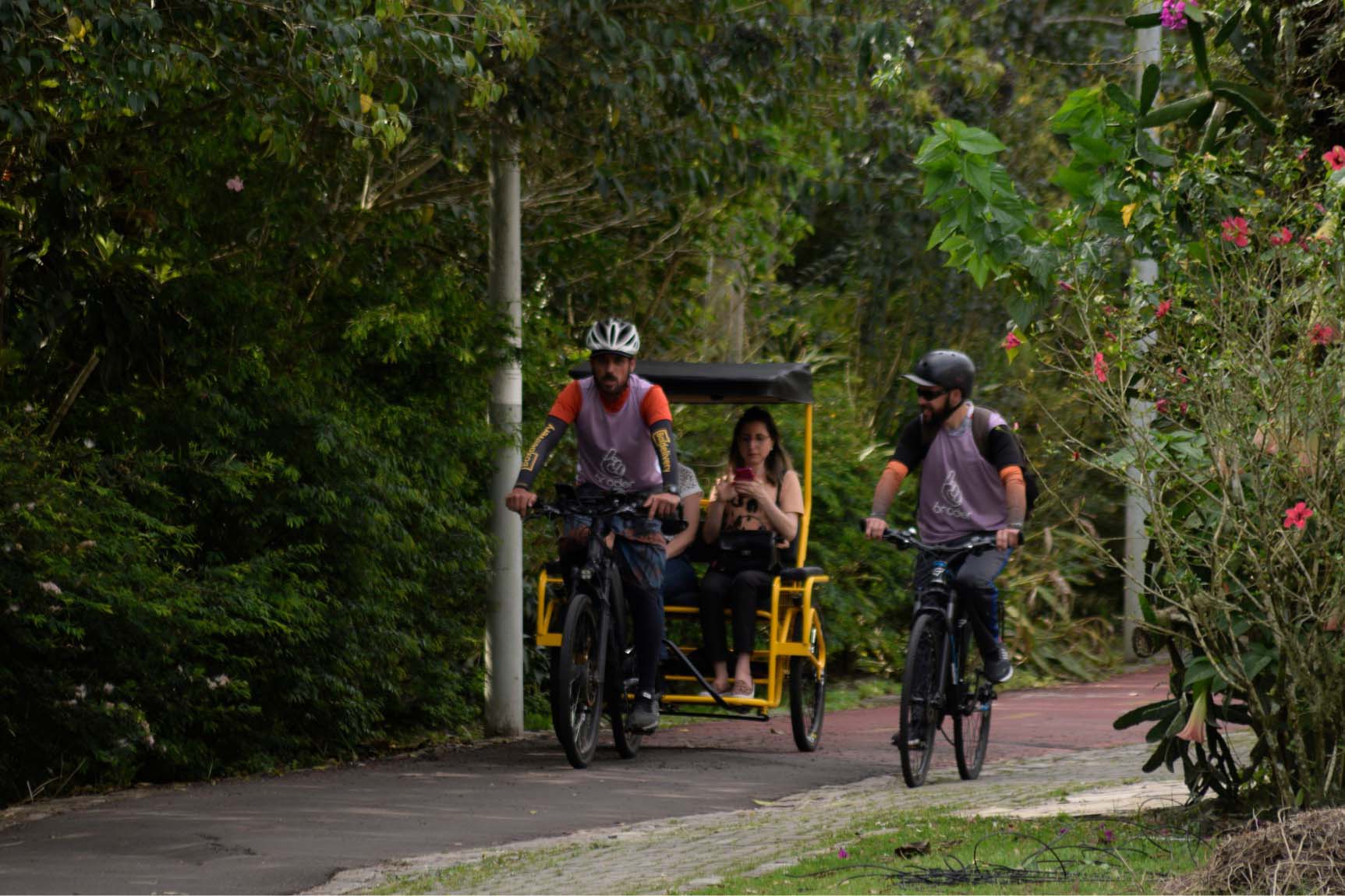 Entre letras e histórias: turismo literário do Paraná é cada vez mais reconhecido