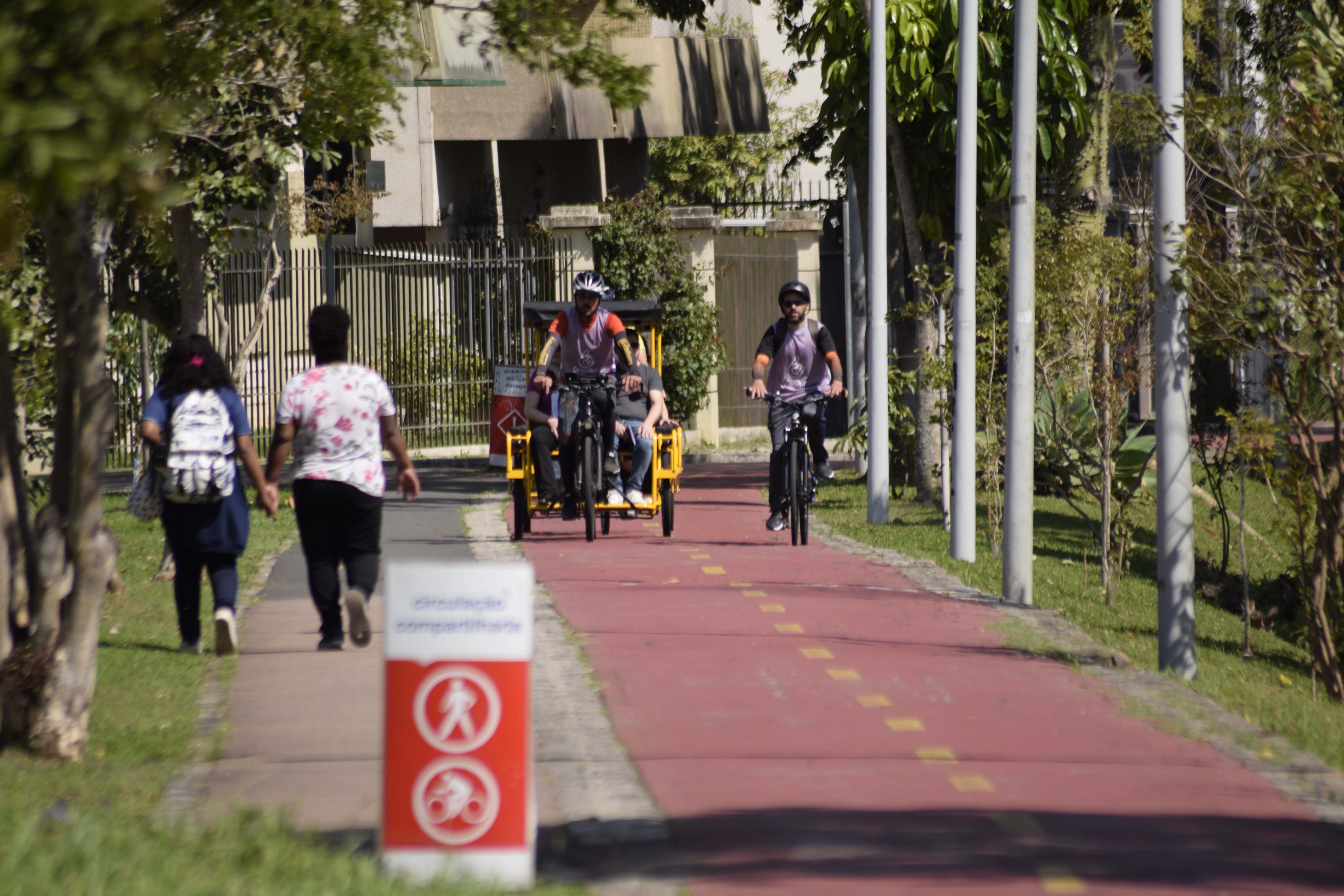 Entre letras e histórias: turismo literário do Paraná é cada vez mais reconhecido