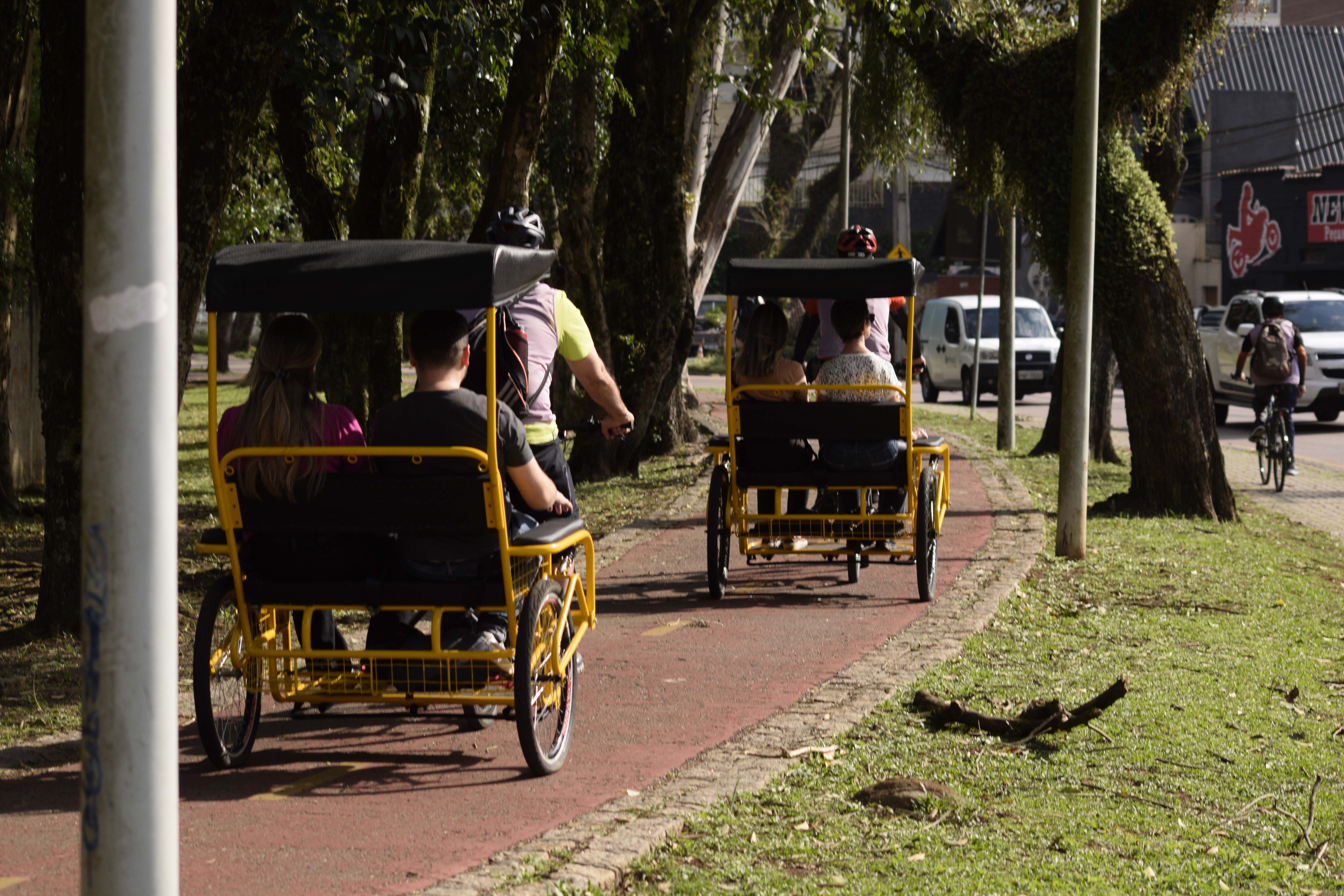 Entre letras e histórias: turismo literário do Paraná é cada vez mais reconhecido