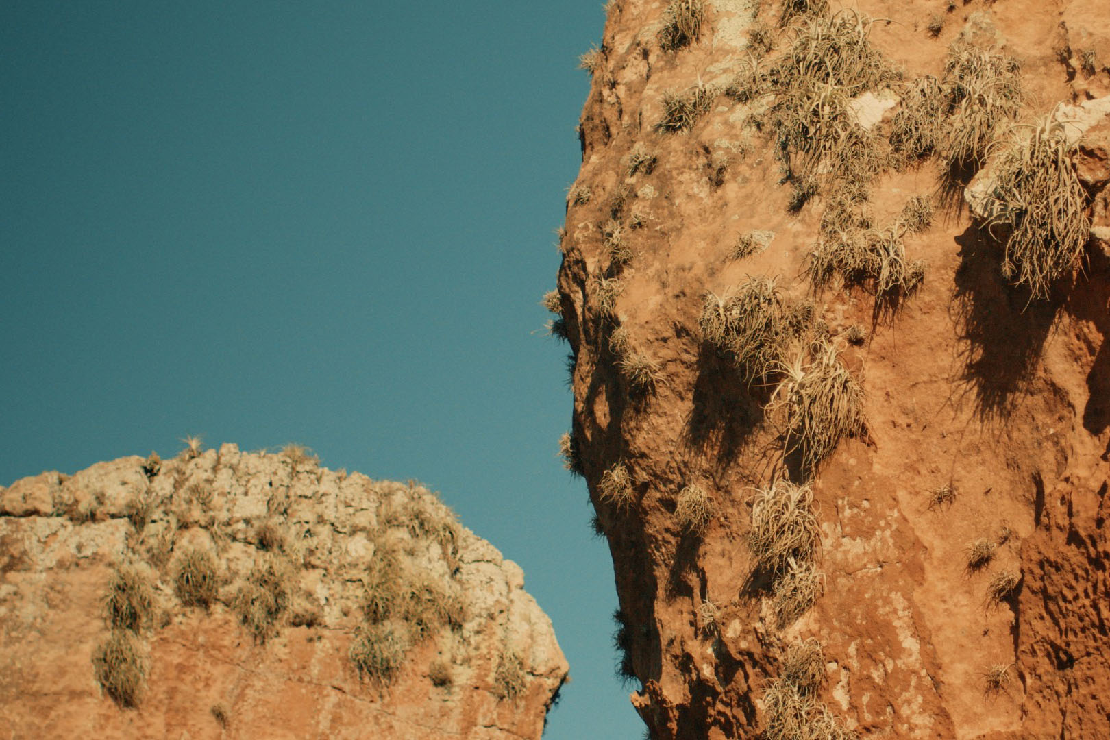 Entre arte e natureza: MUPA oferece diversas atividades na 19° Primavera dos Museus