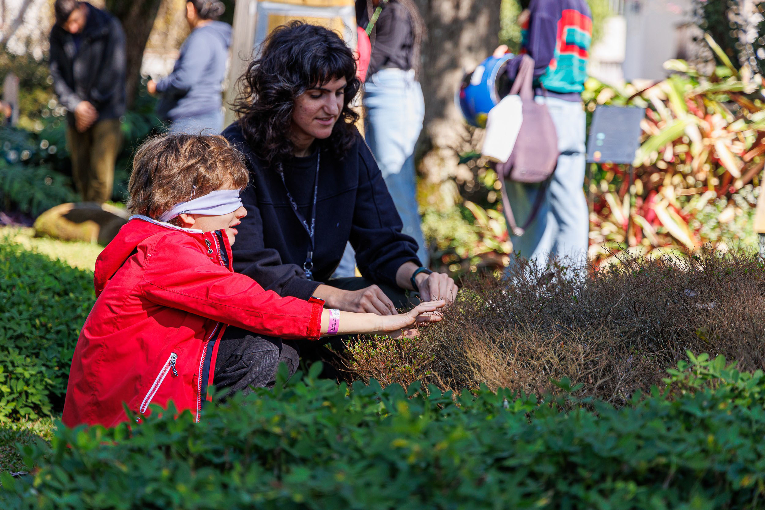 Entre arte e natureza: MUPA oferece diversas atividades na 19° Primavera dos Museus