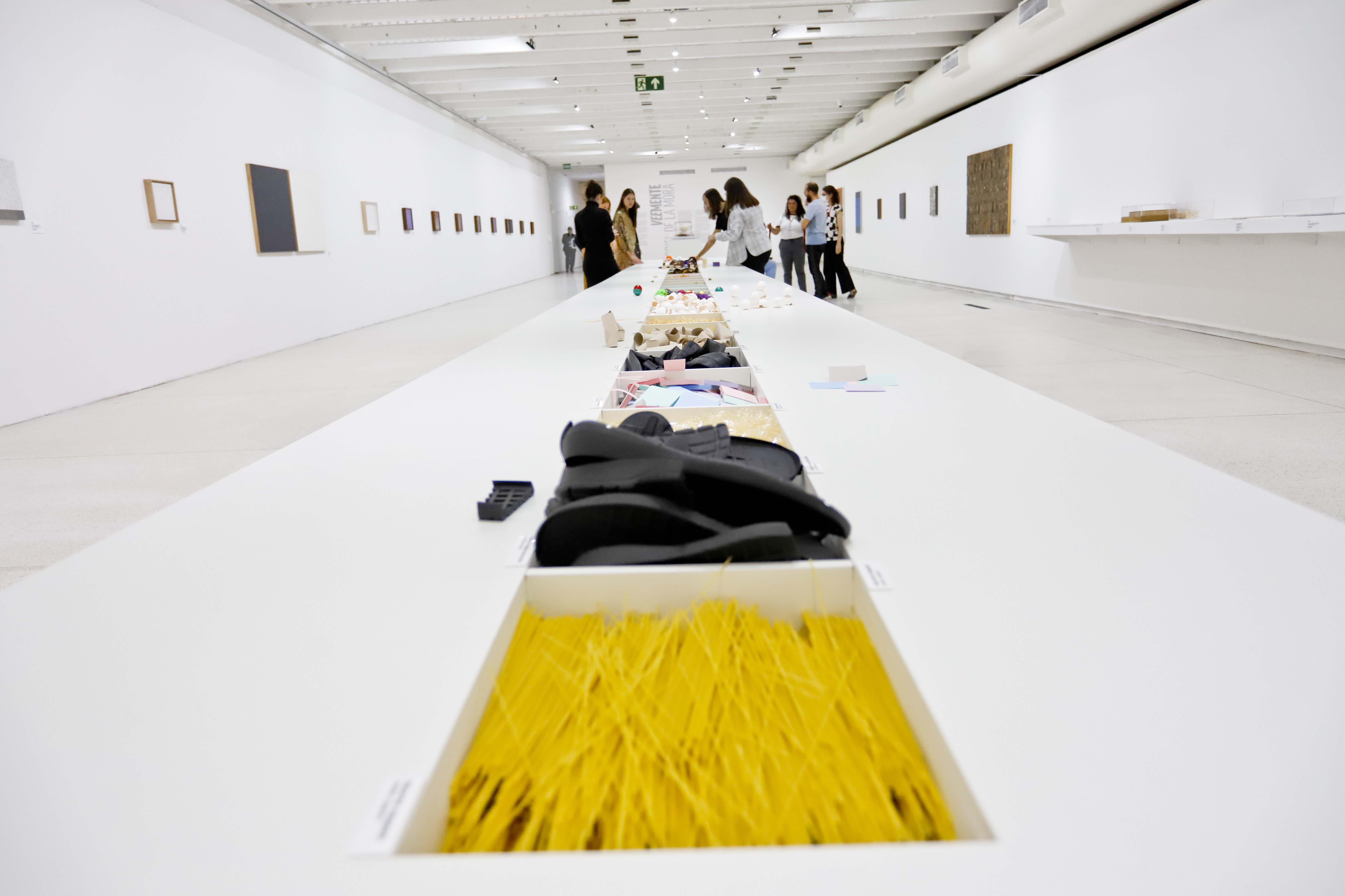 MON promove atividades com a presença do artista mexicano Gabriel de la Mora