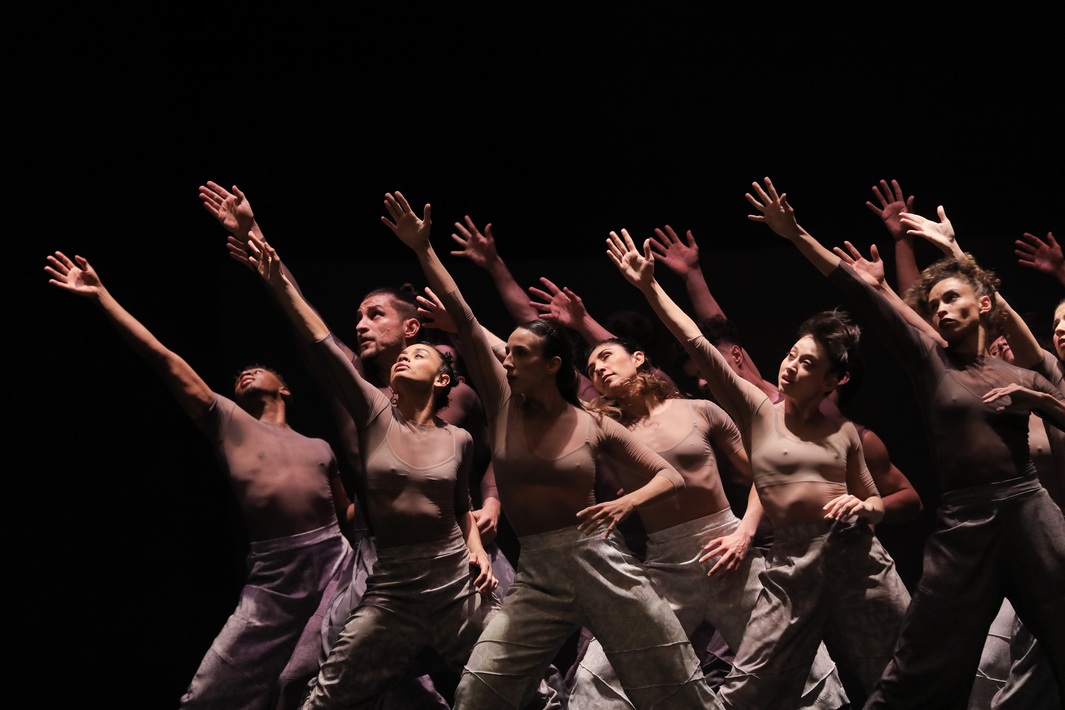Balé Teatro Guaíra levanta a plateia e emociona no Festival de Dança de Londrina