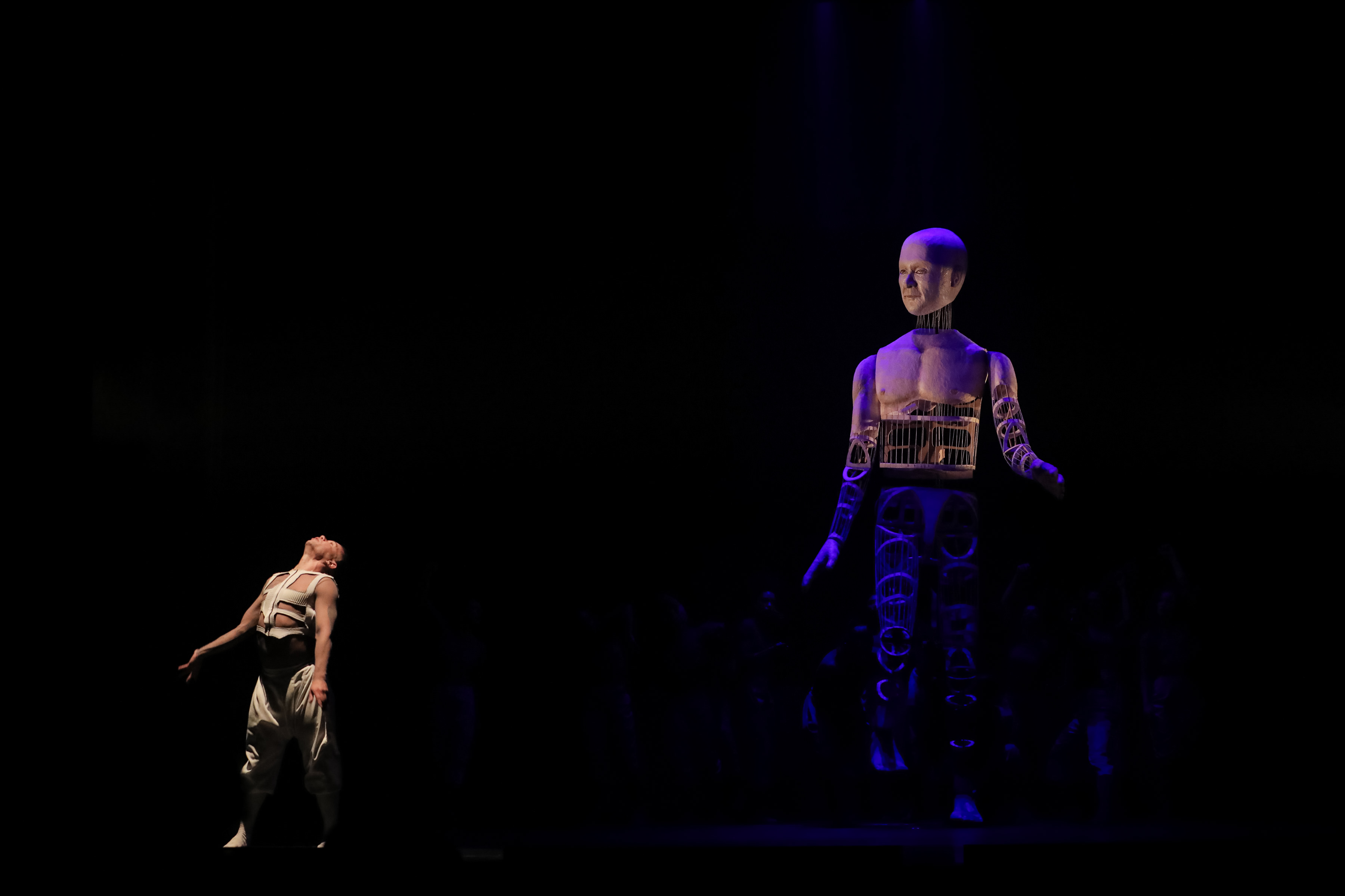 Balé Teatro Guaíra levanta a plateia e emociona no Festival de Dança de Londrina